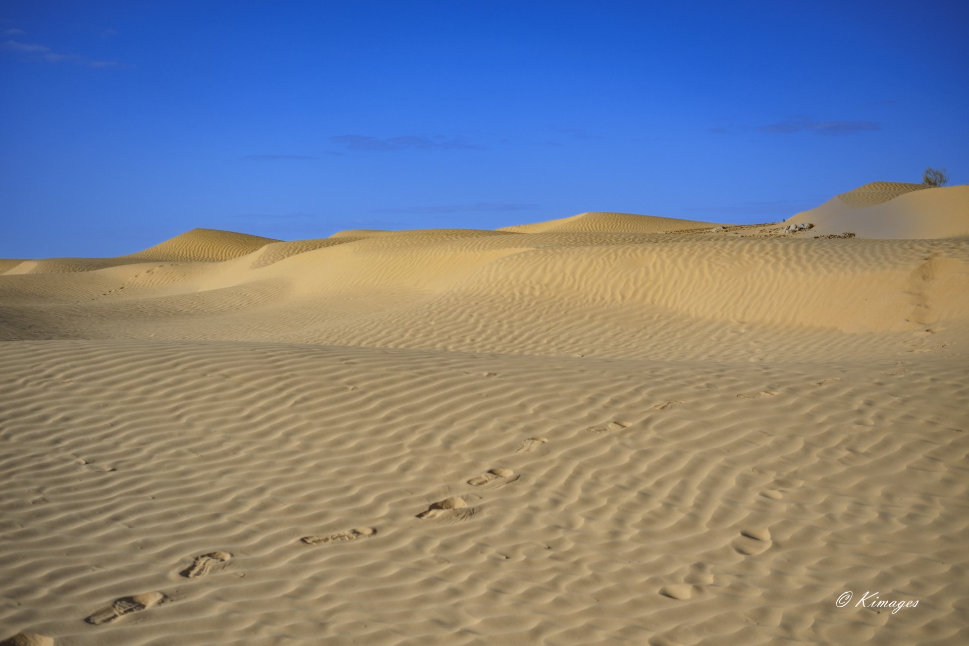 Tunisie: Tembaïne