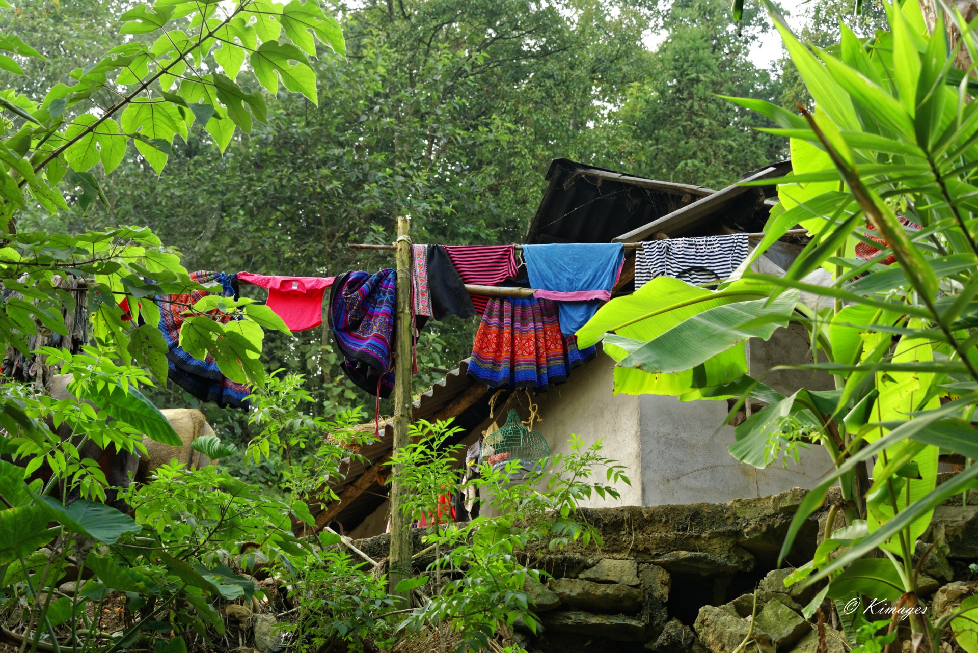 Vietnam