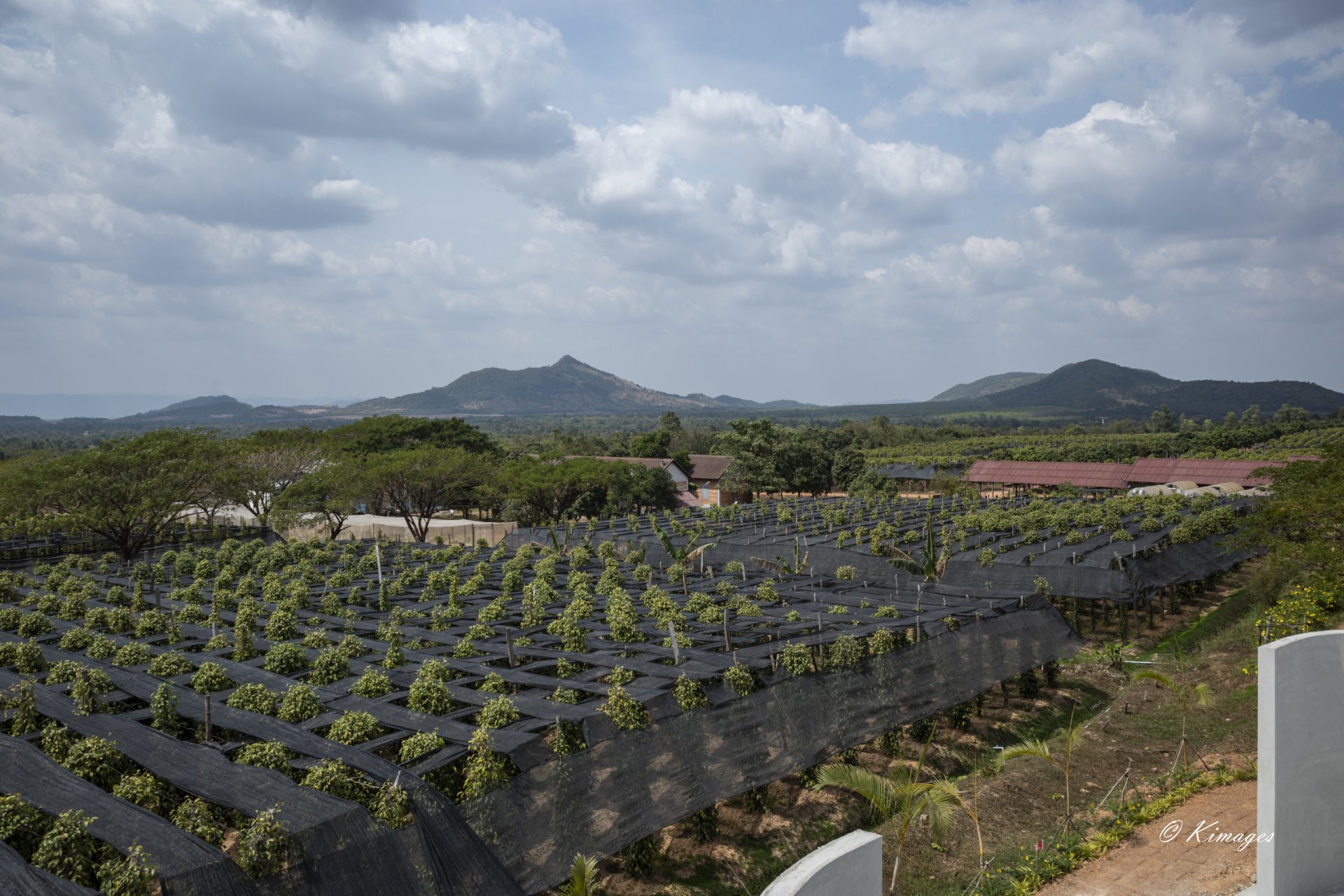 Kampot