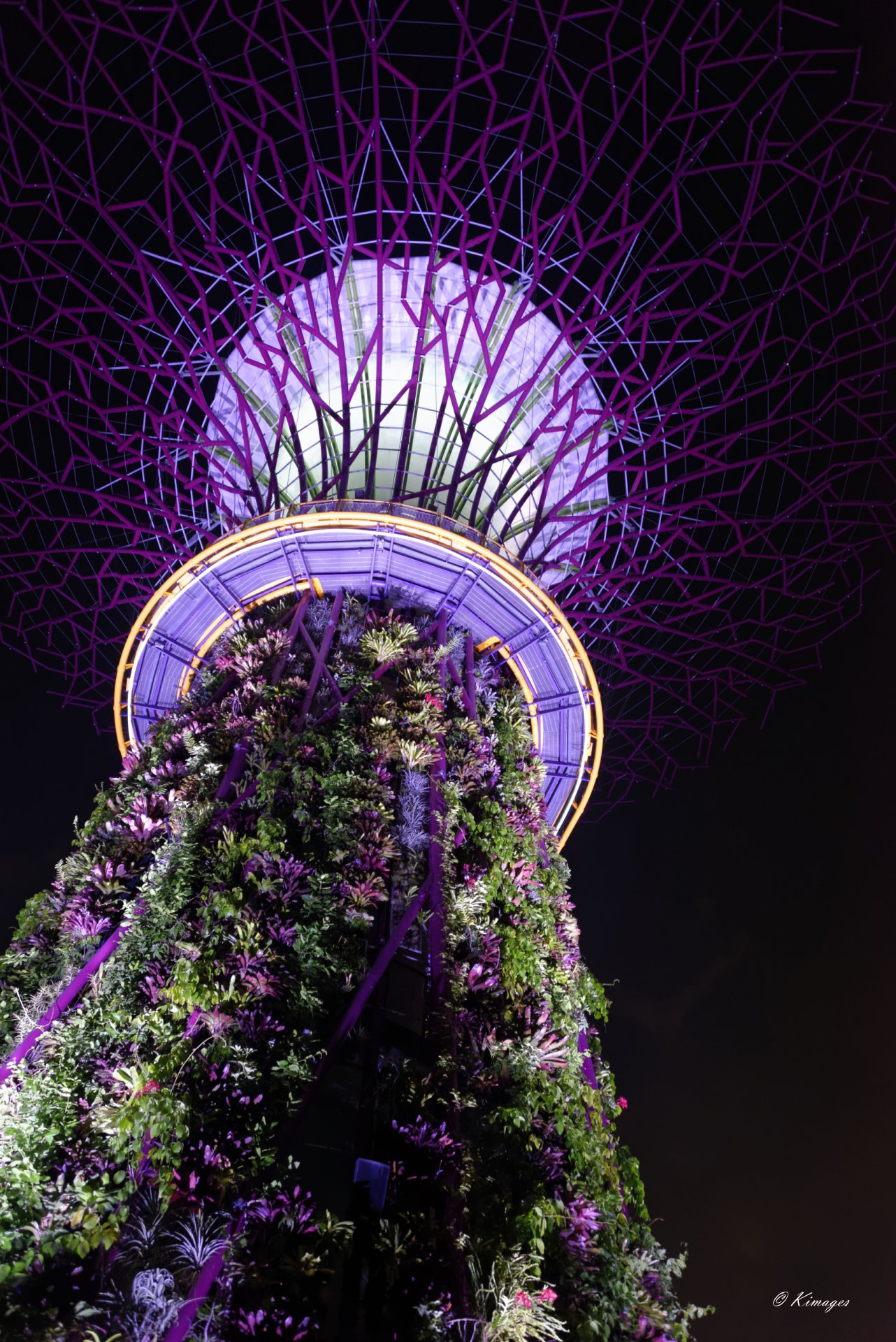 Singapour
