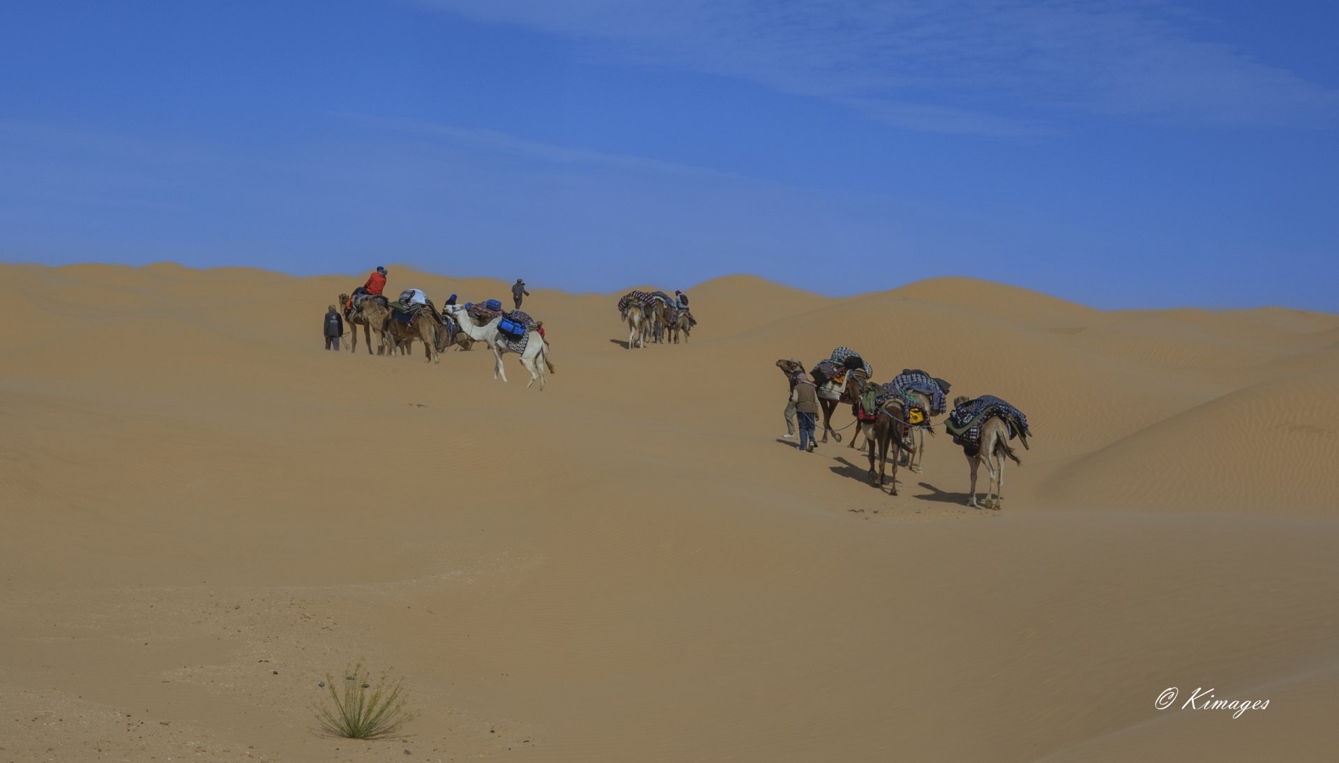Tunisie: Tembaïne