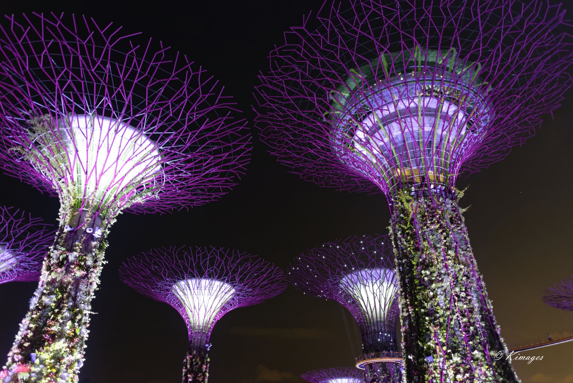 Singapour