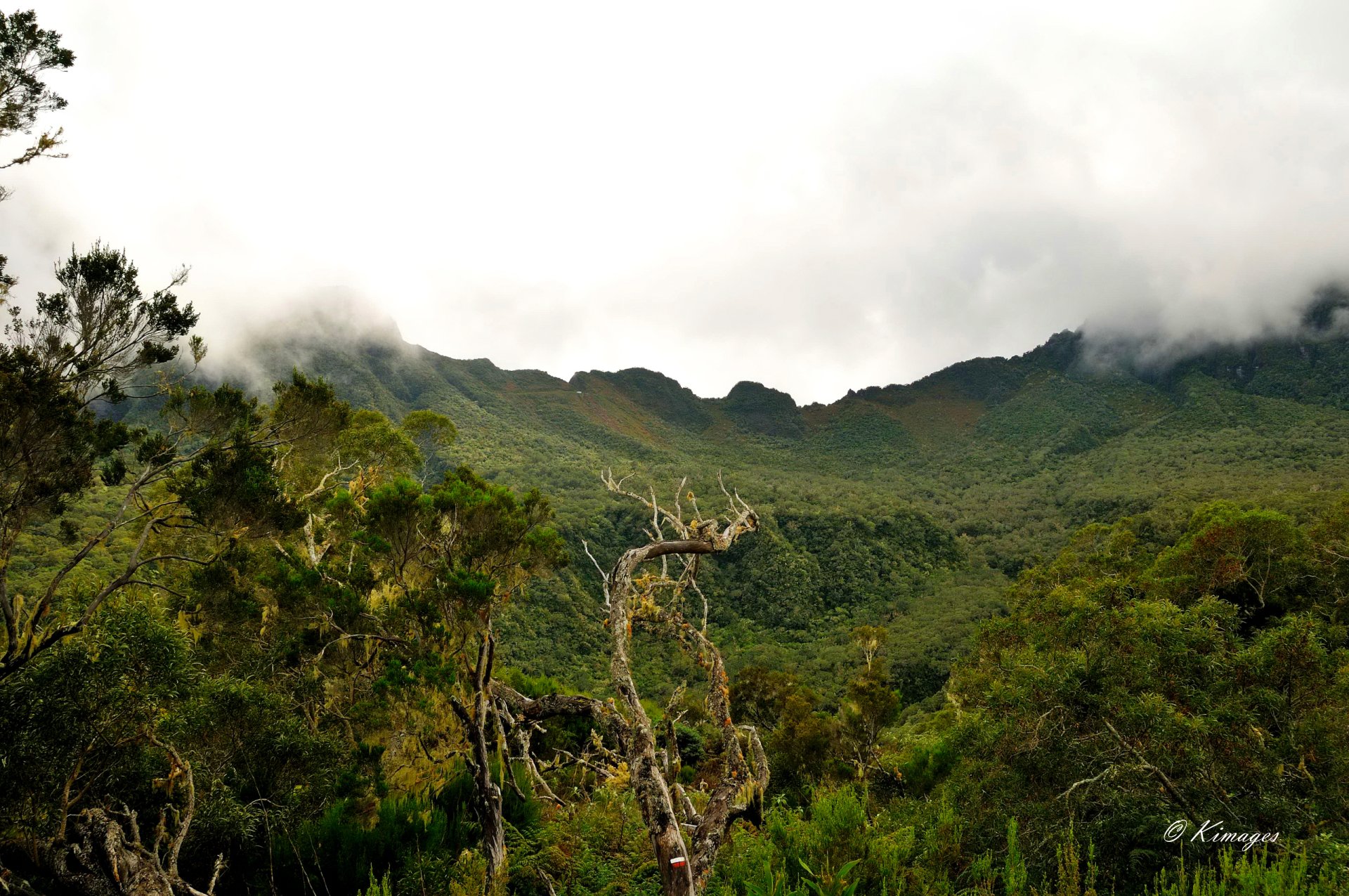 Ile de la Réunion