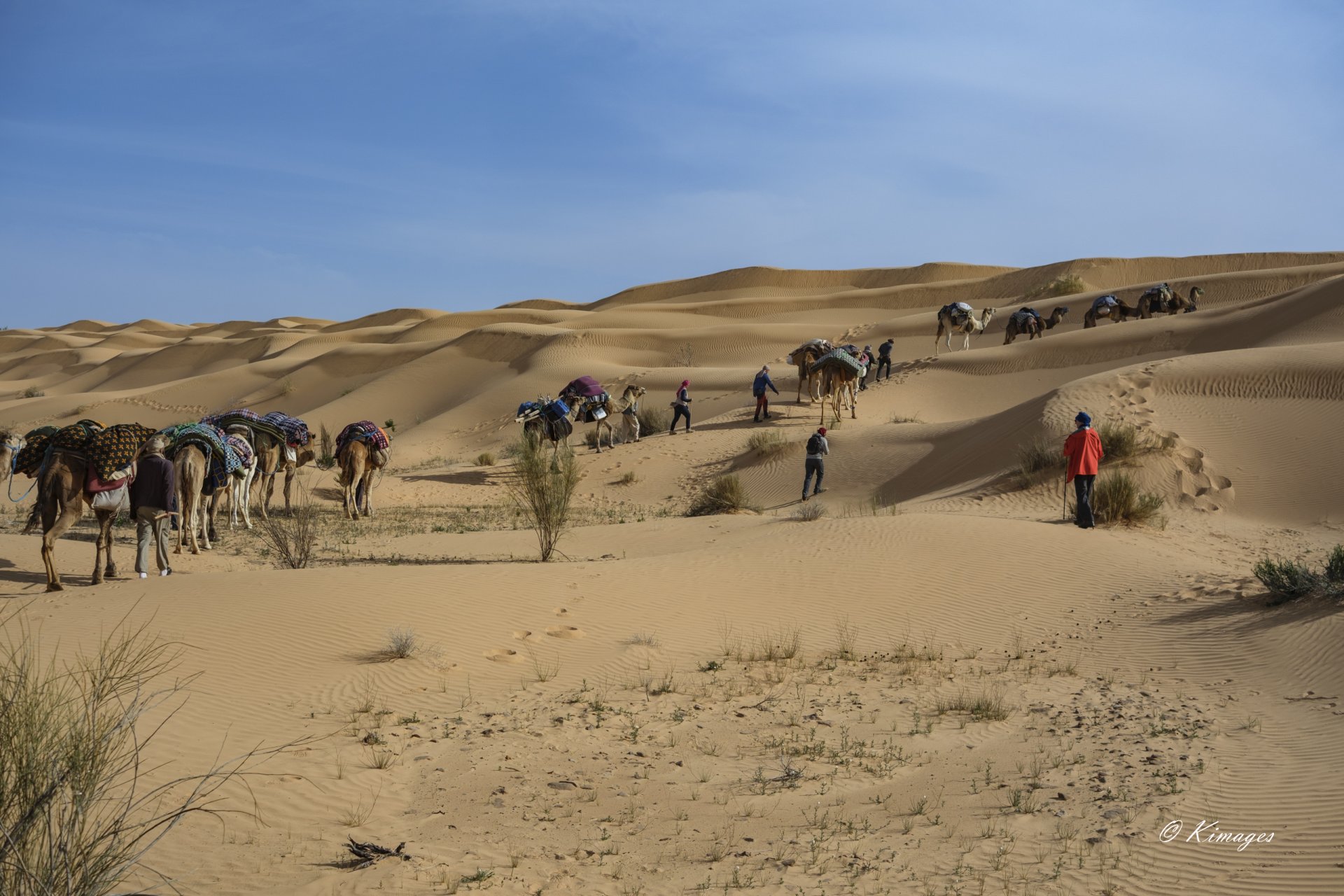 Tunisie: Tembaïne