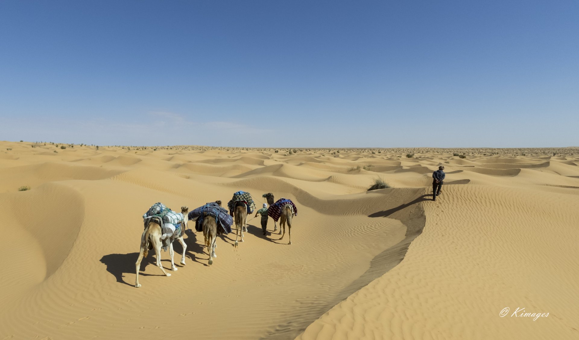 Tunisie: Tembaïne