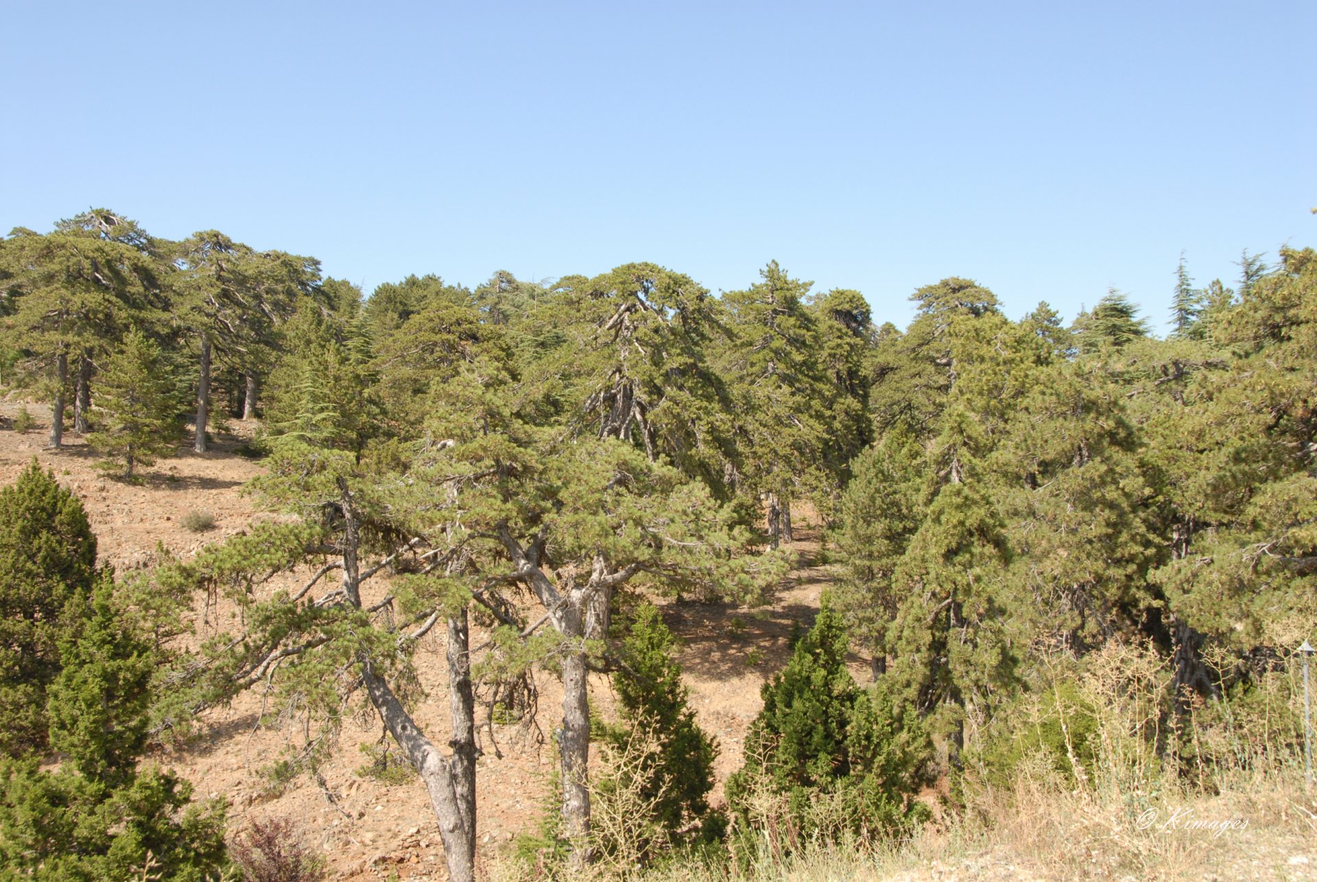 Chypre