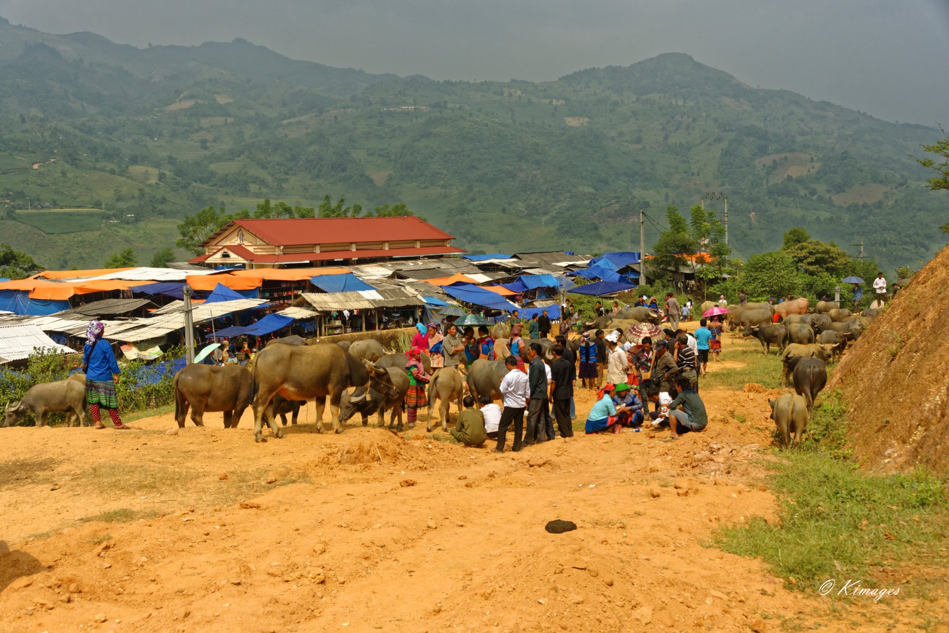 Vietnam
