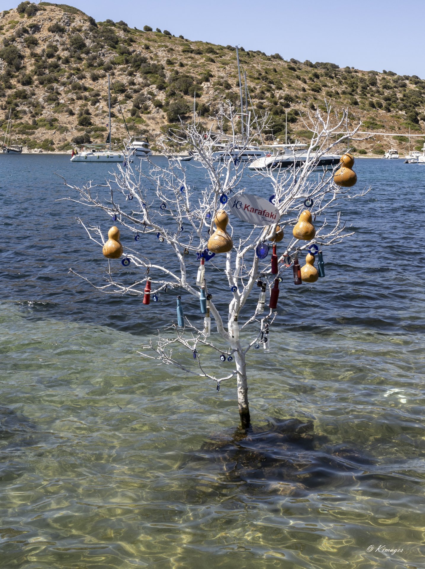 Bodrum - Turgutreis - Gumuscluk