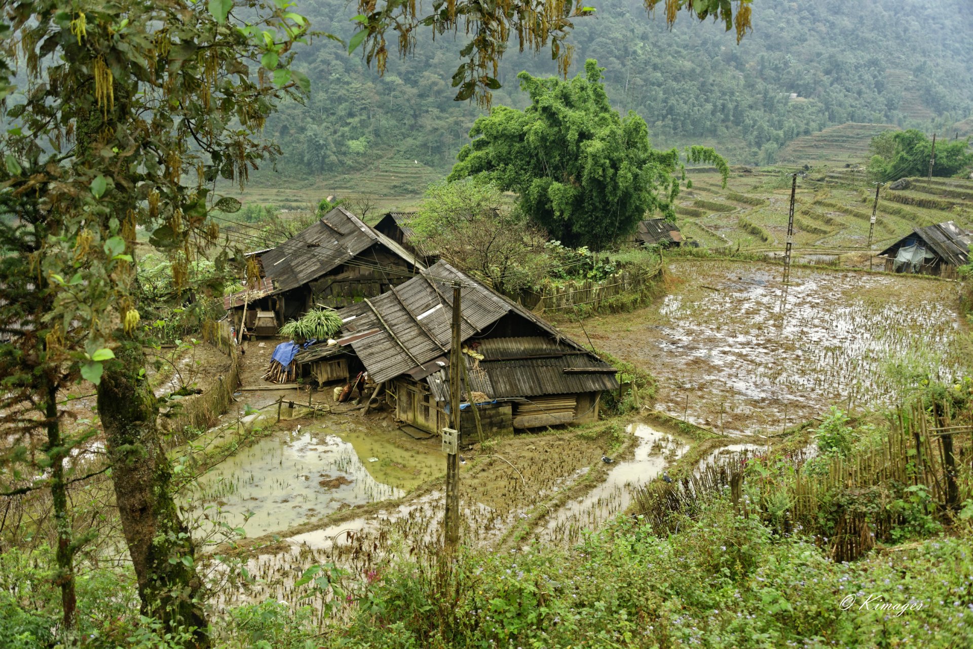 Vietnam