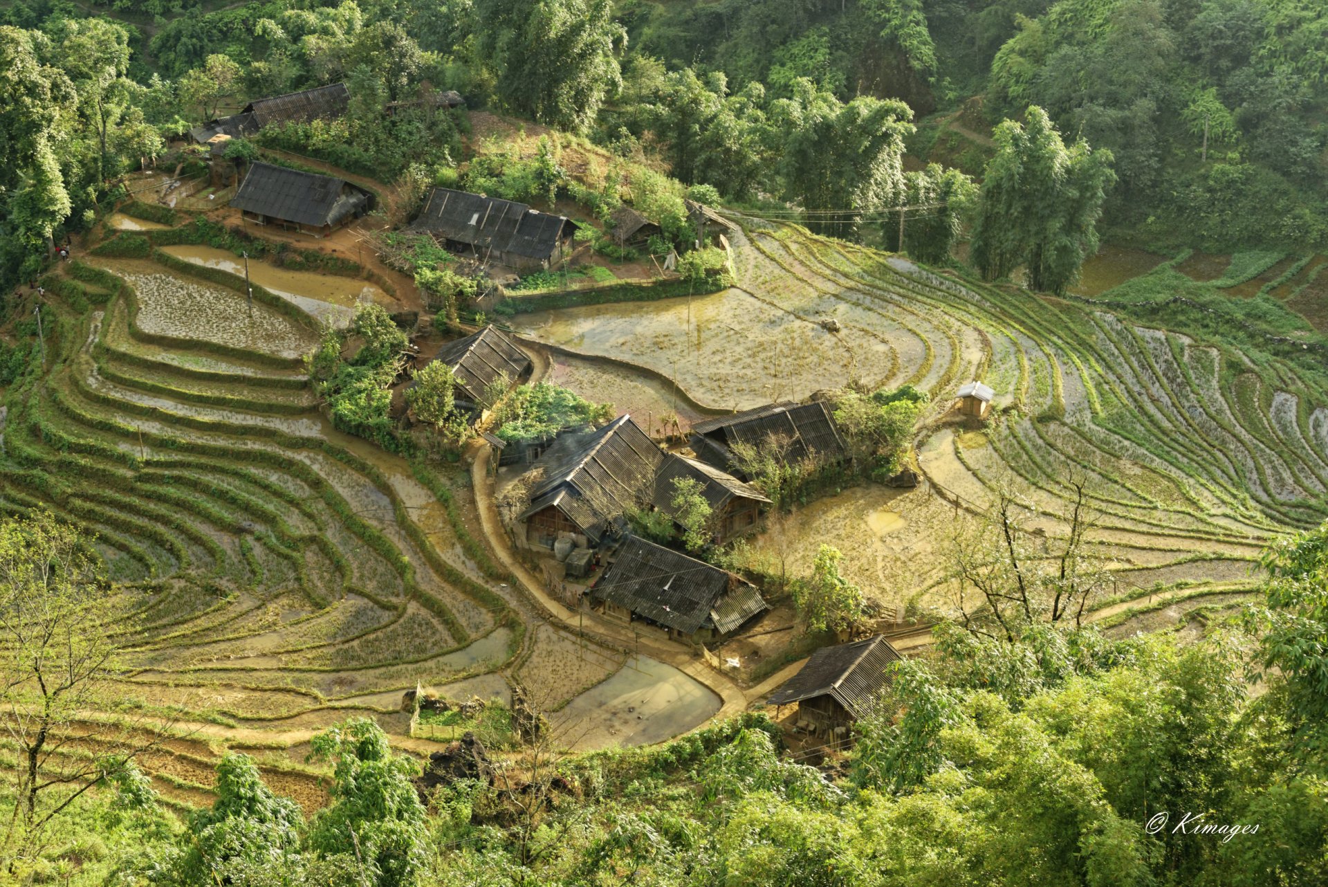 Vietnam