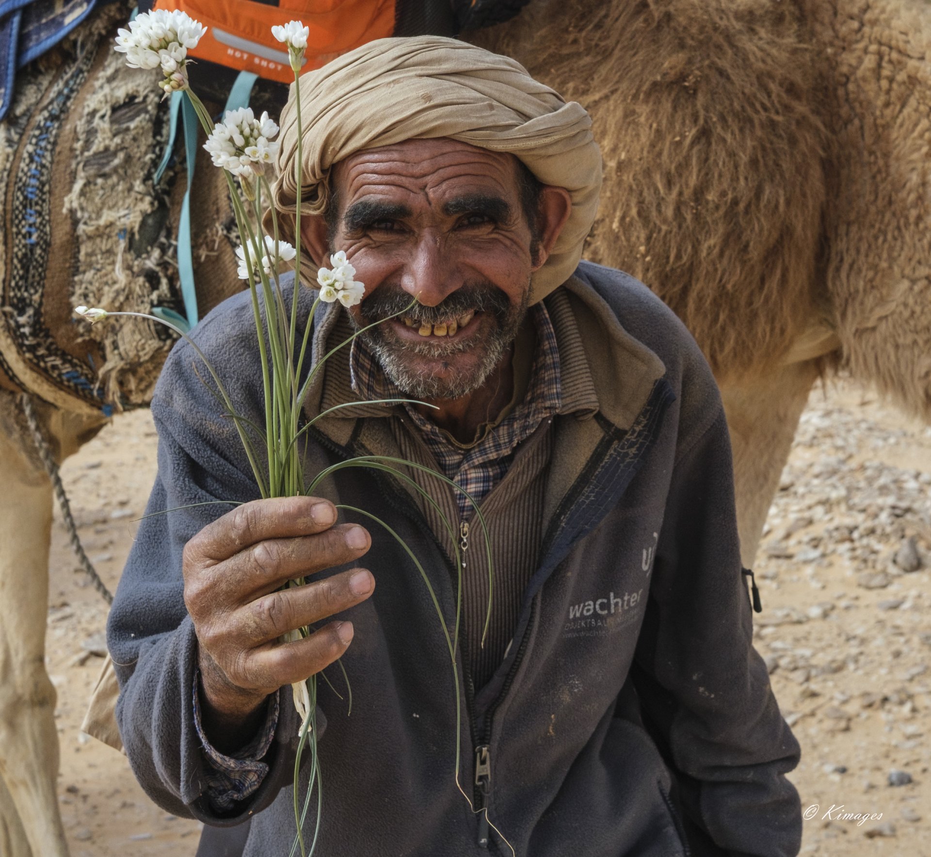 Tunisie: Tembaïne