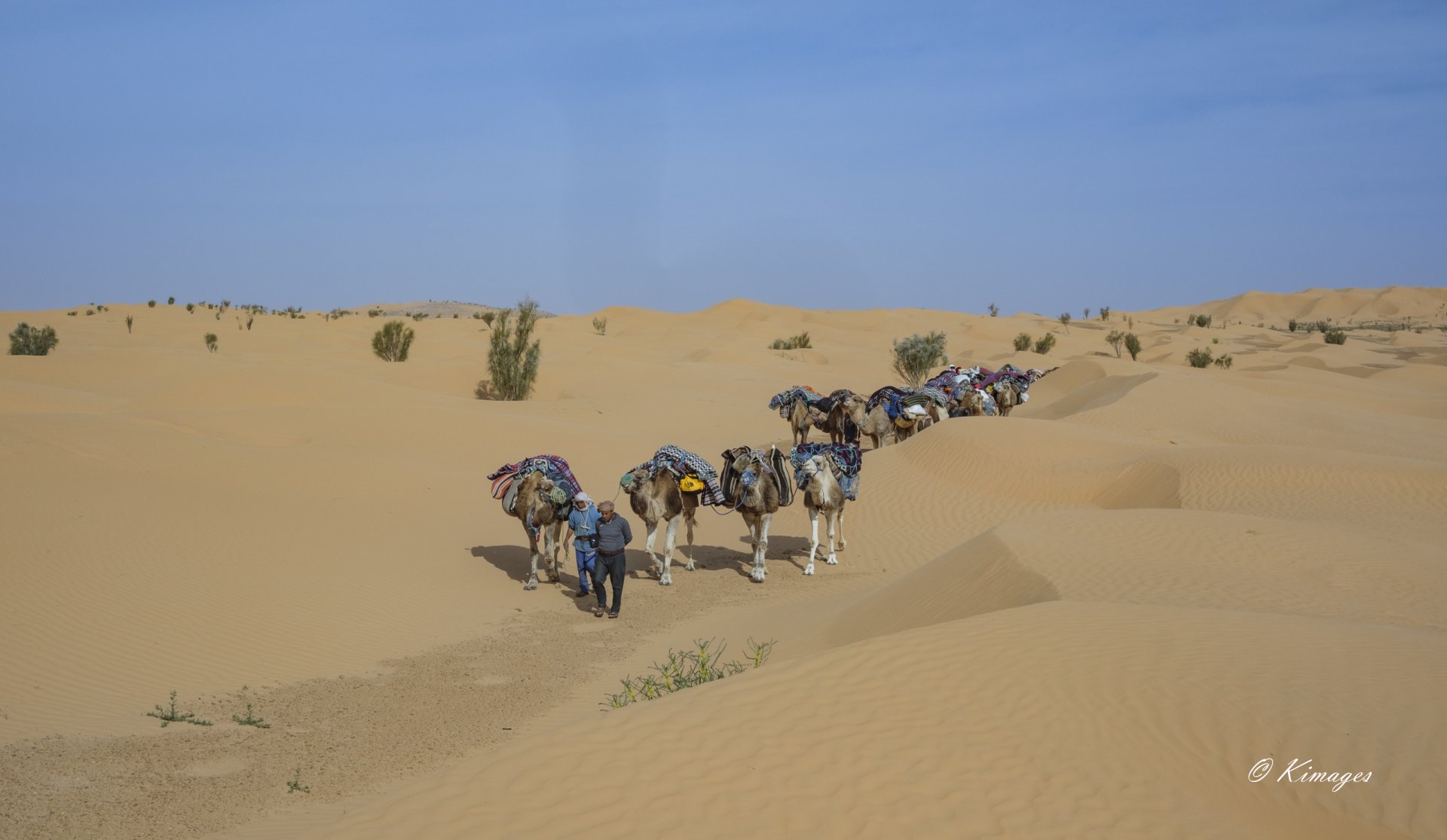 Tunisie: Tembaïne