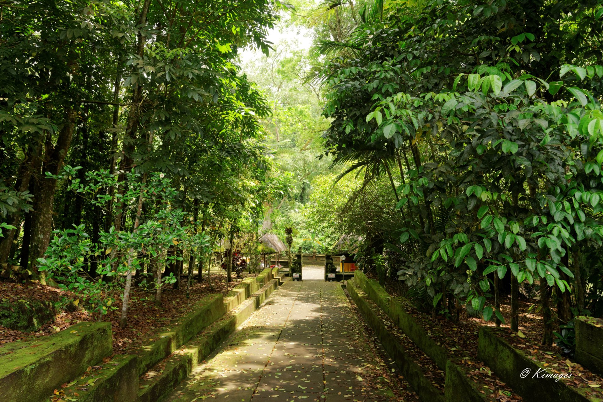 Bali