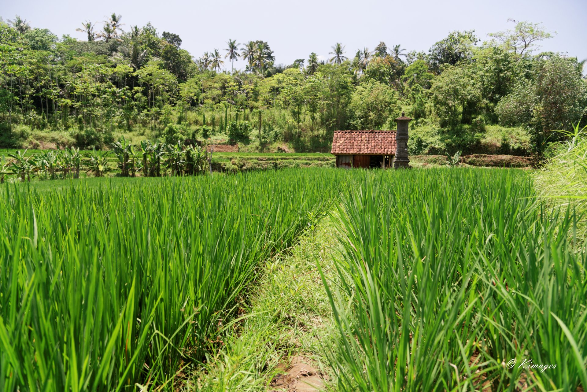 Bali