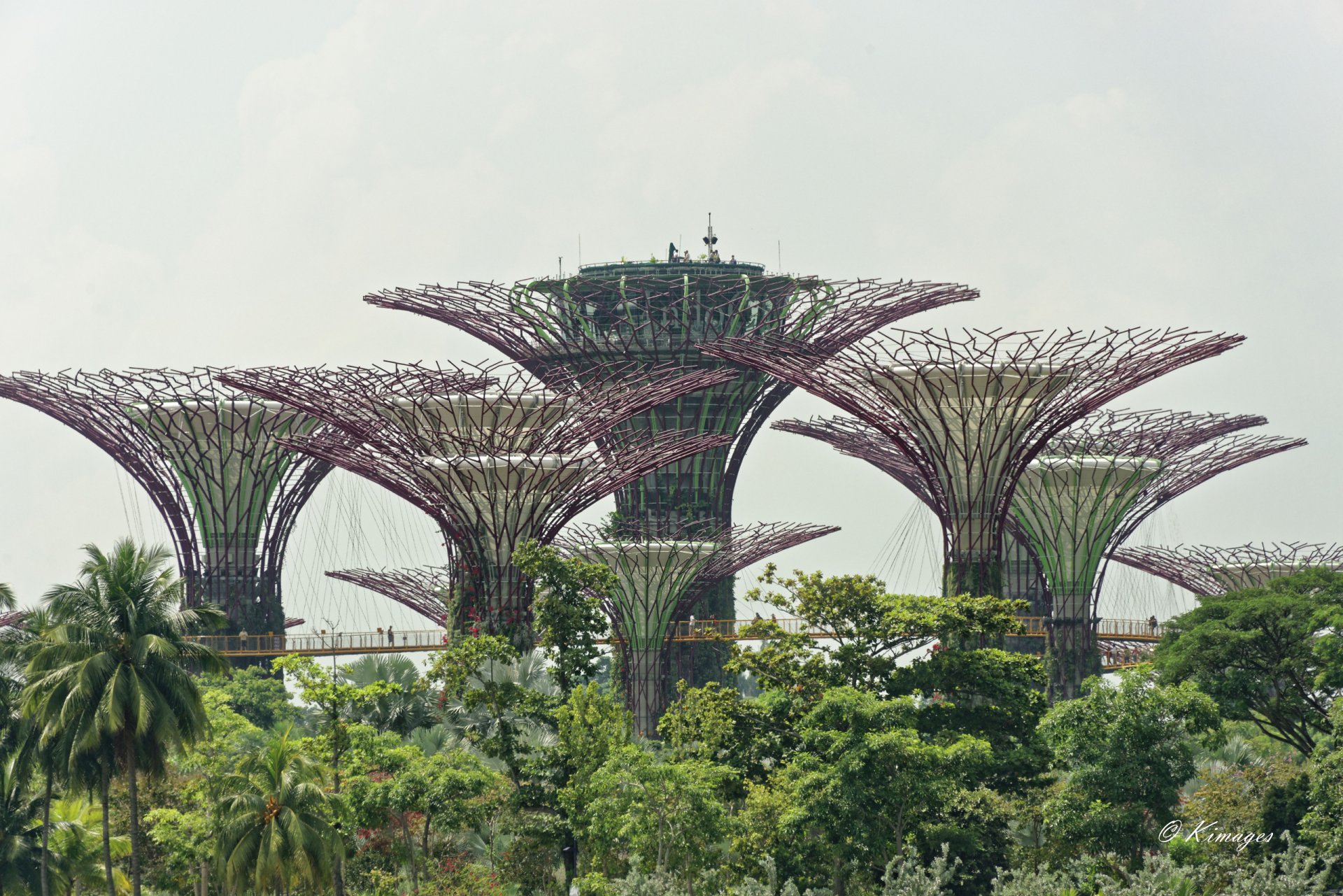 Singapour