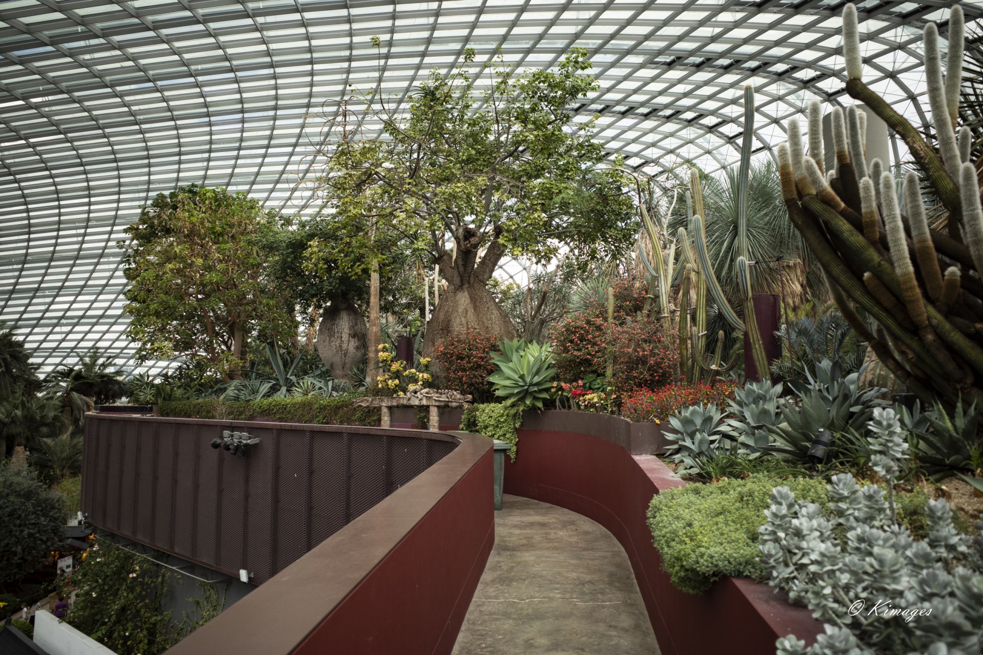 Singapour