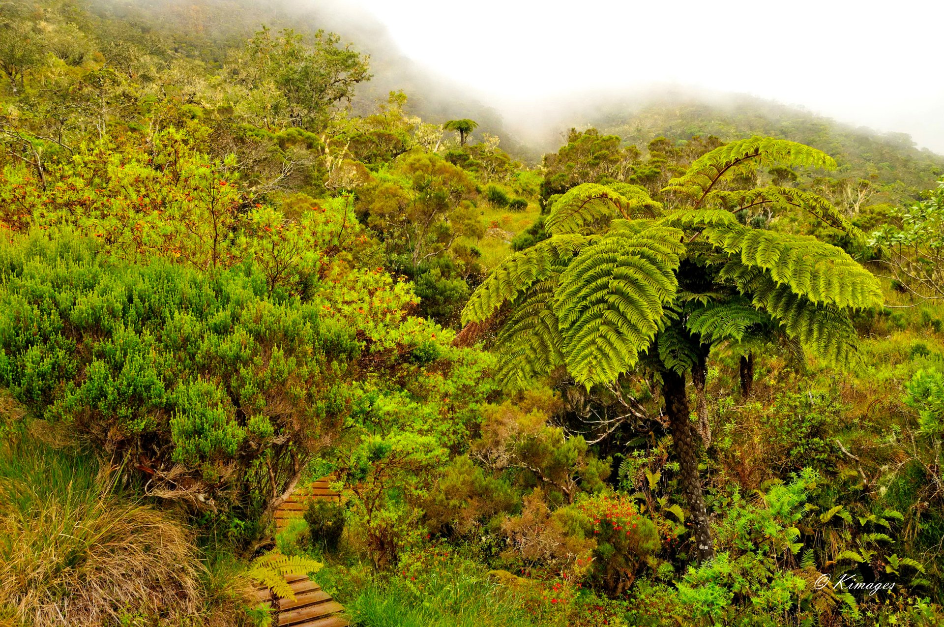 Ile de la Réunion