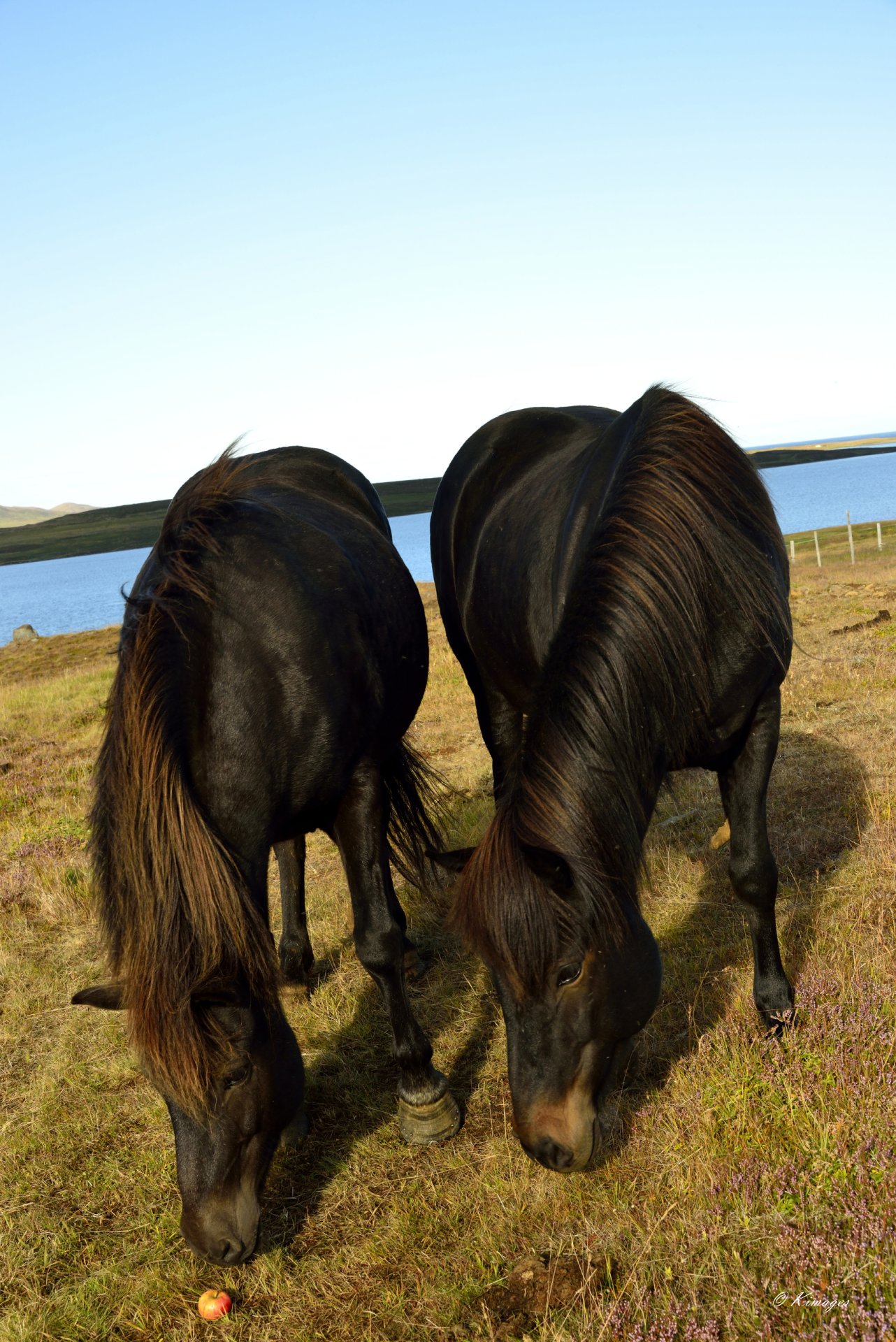 Islande
