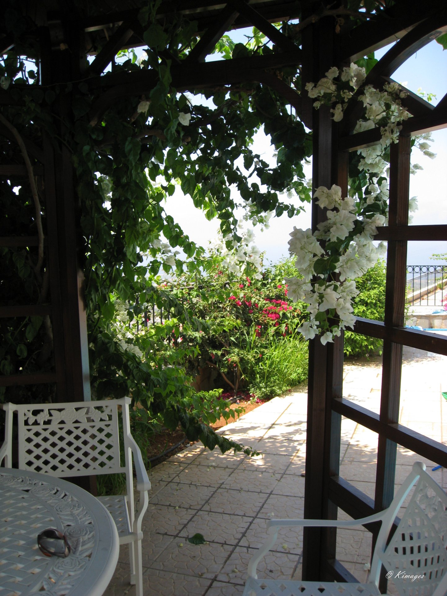 Chypre