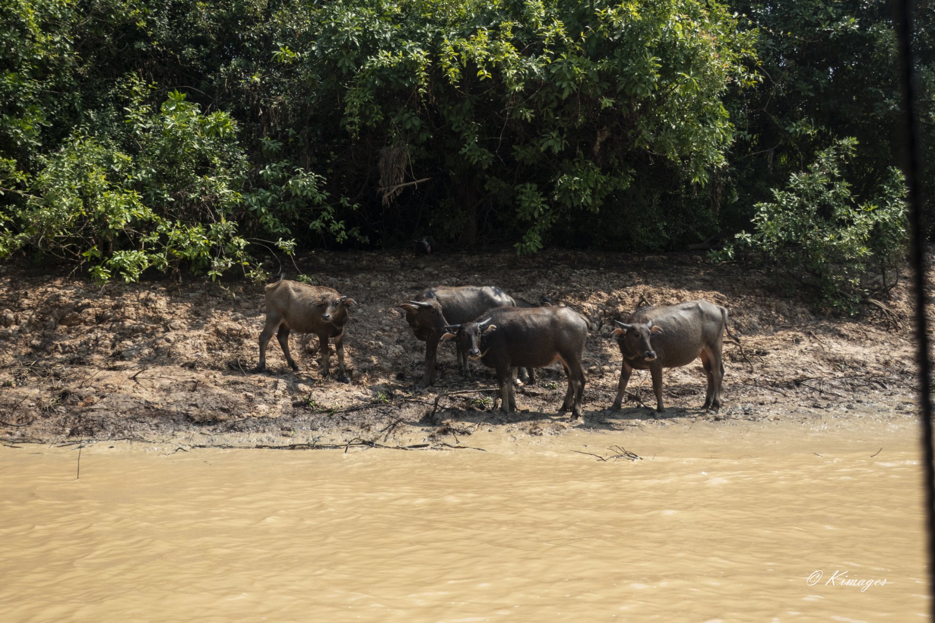 Tonle Sap