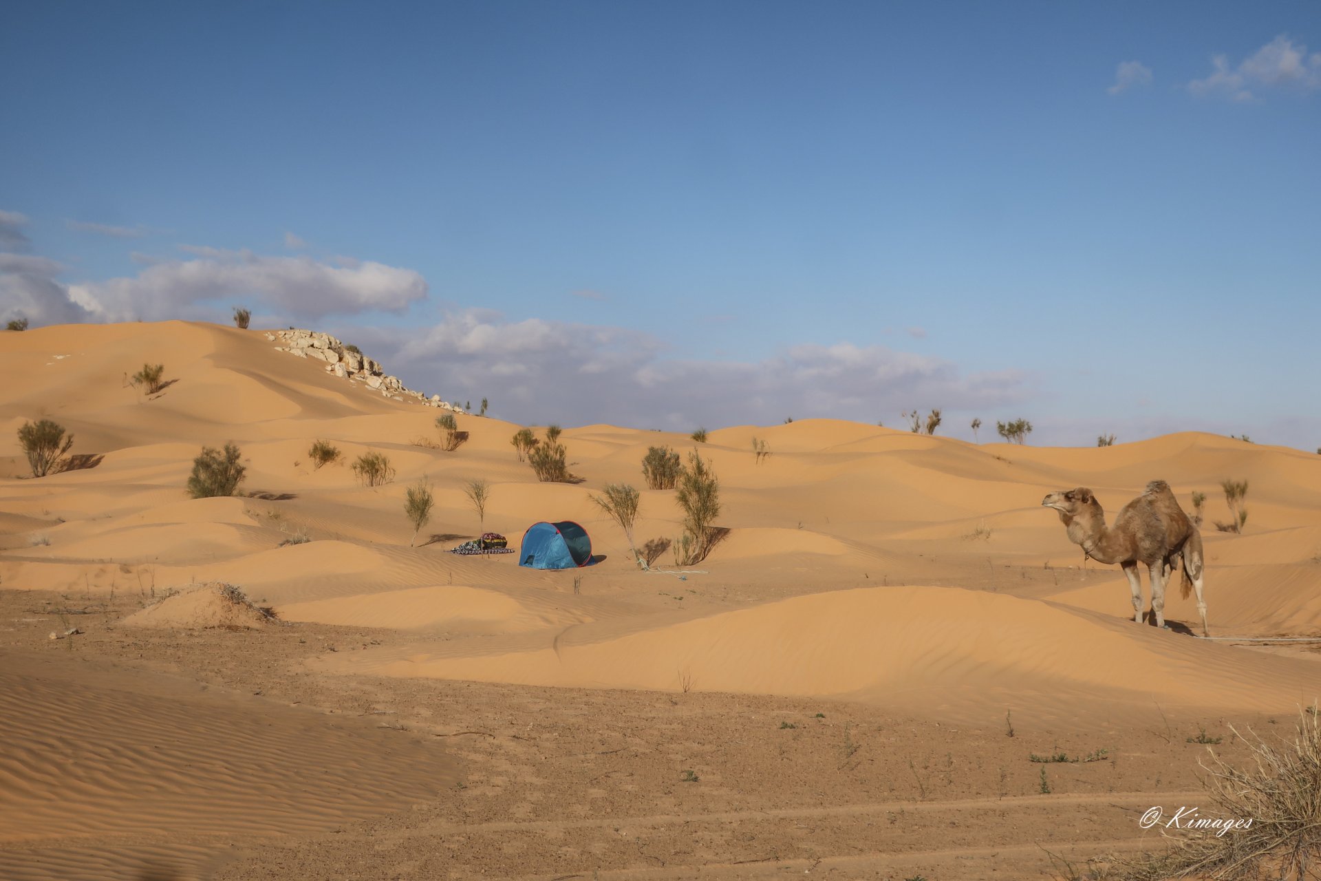 Tunisie: Tembaïne