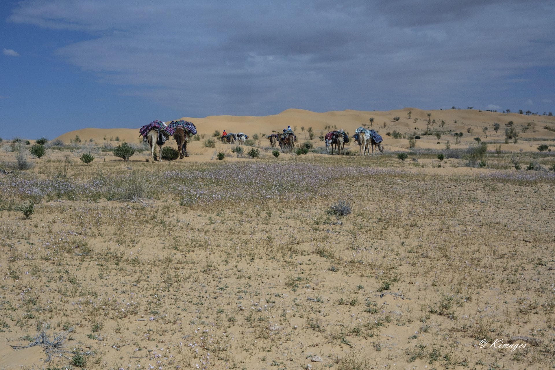 Tunisie: Tembaïne