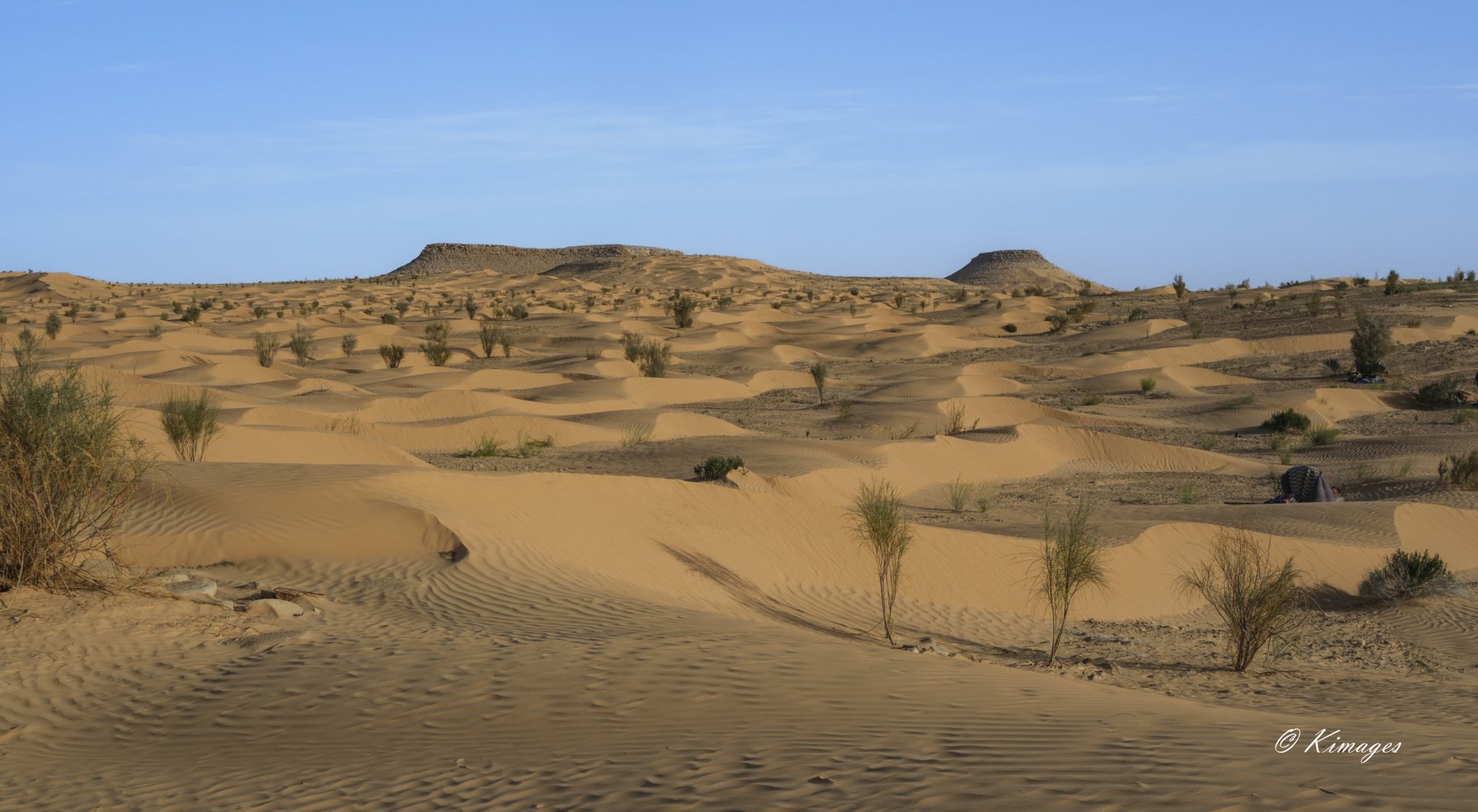 Tunisie: Tembaïne