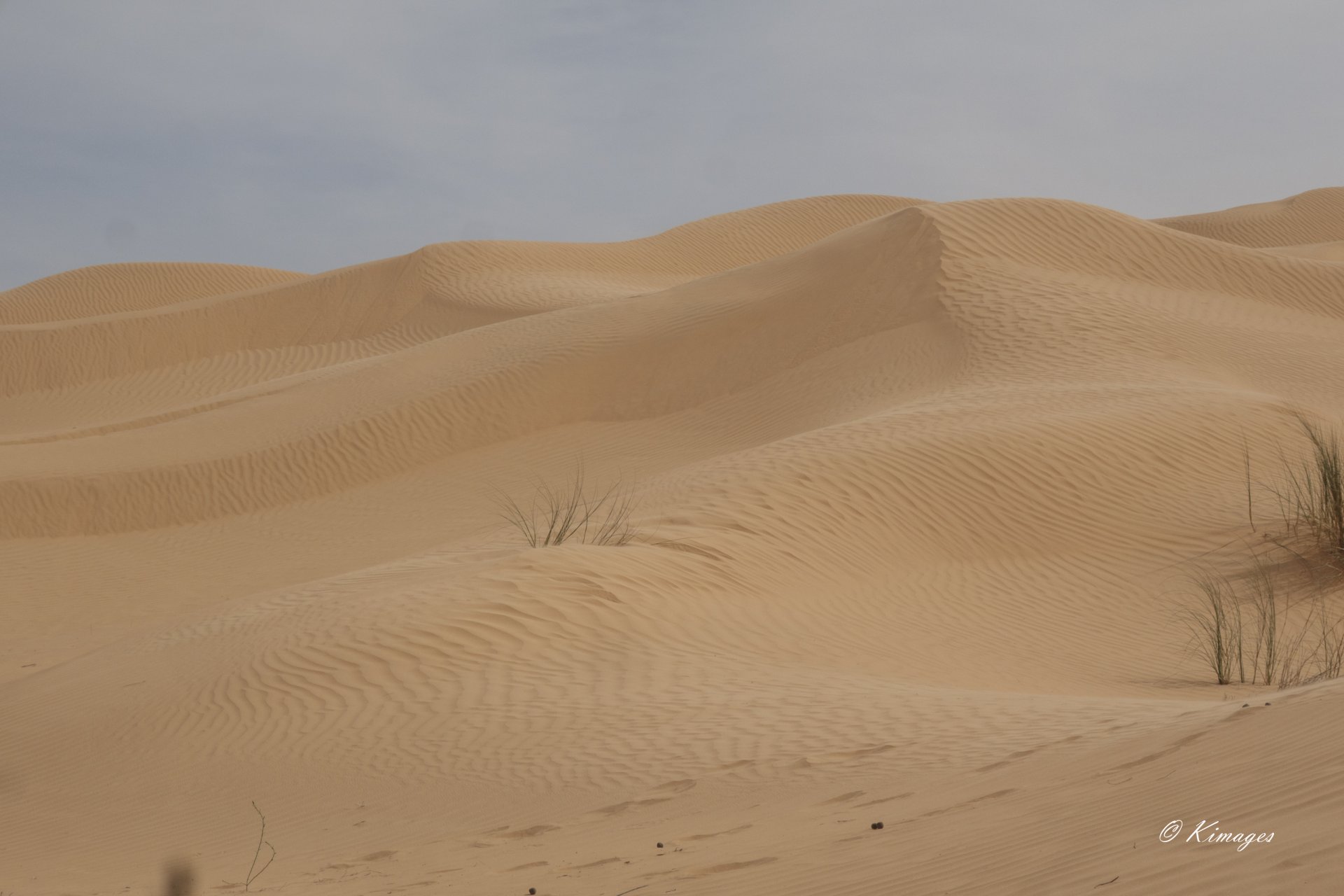 Tunisie: Tembaïne