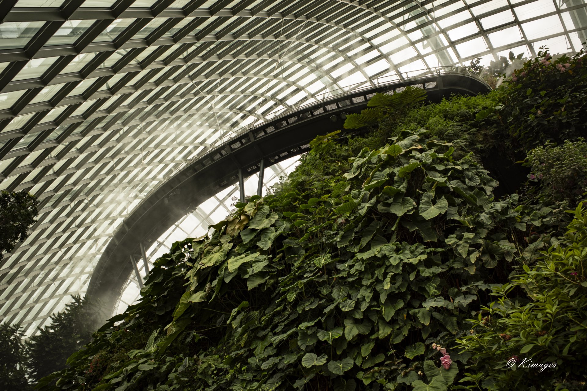 Singapour