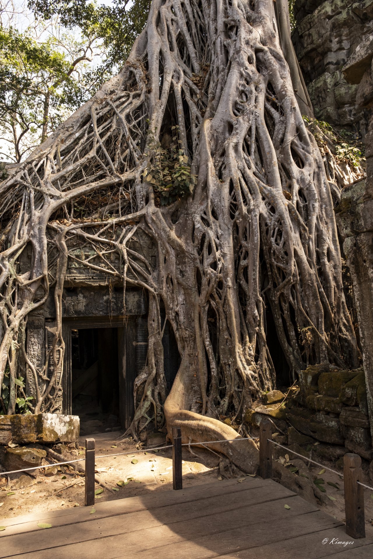Temples d'Angkor