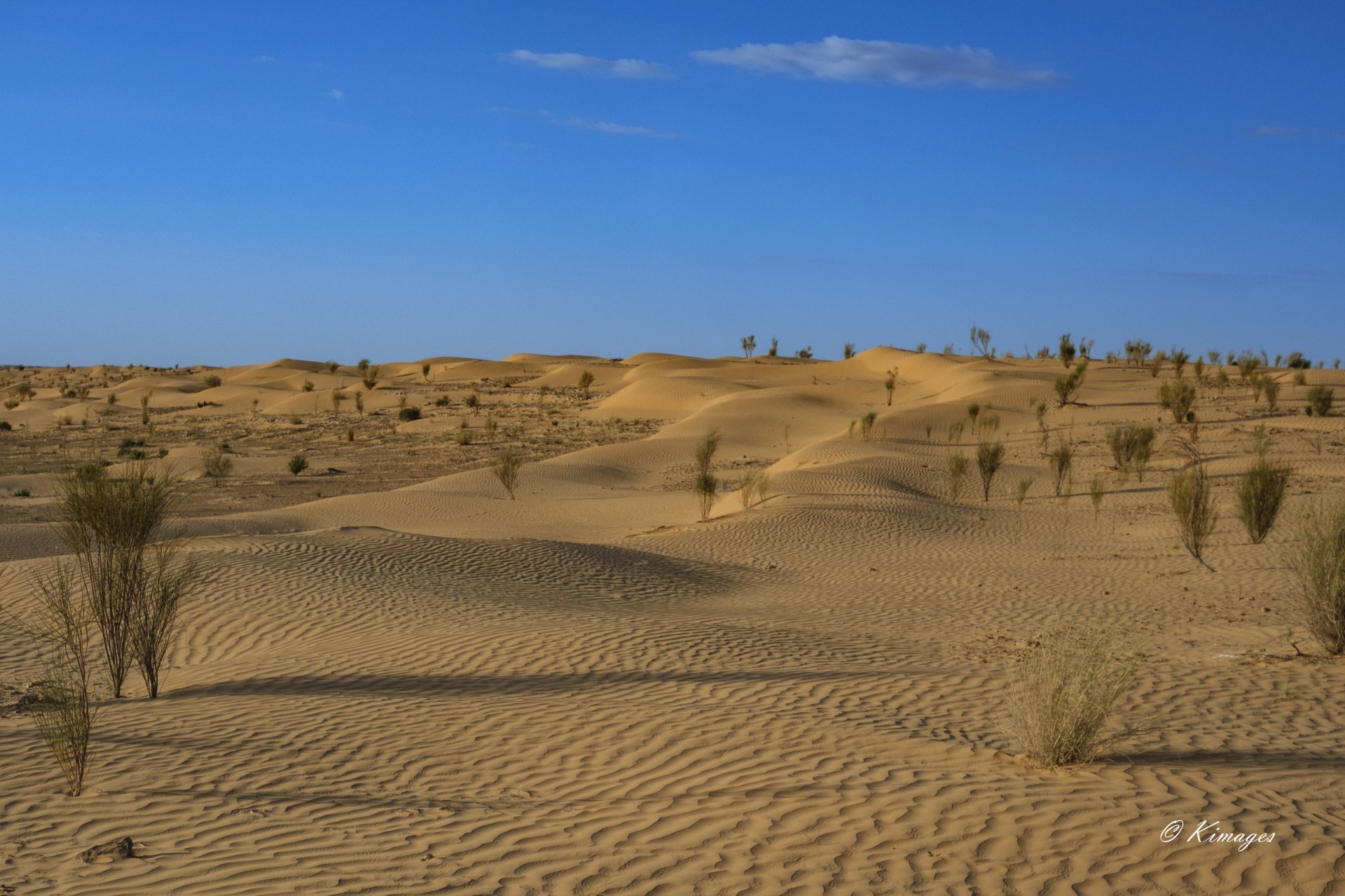 Tunisie: Tembaïne