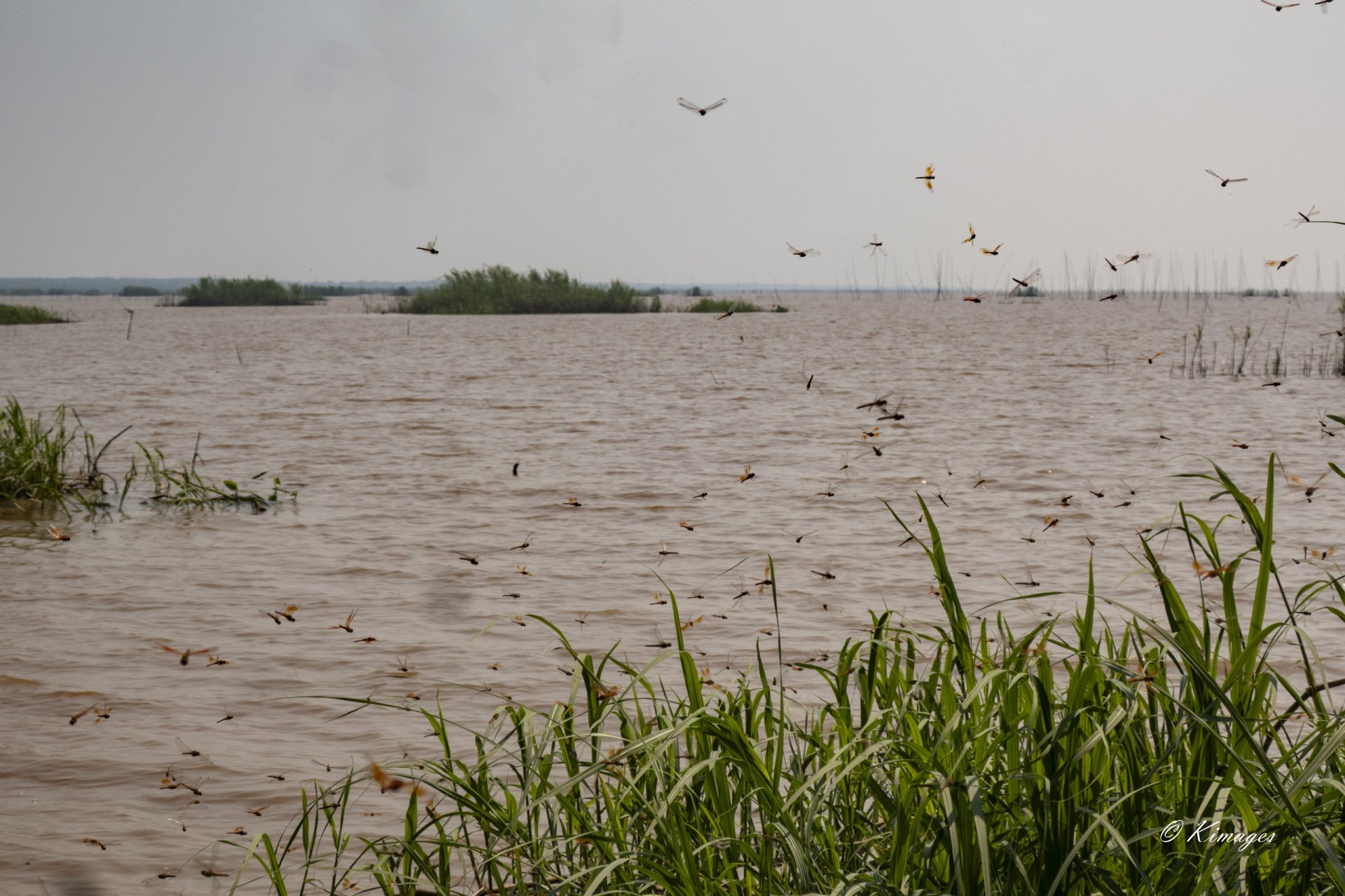 Tonle Sap