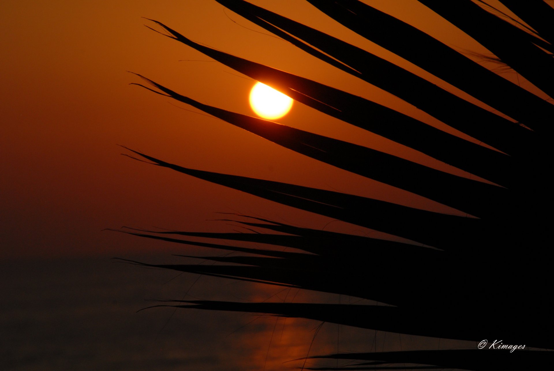 Chypre
