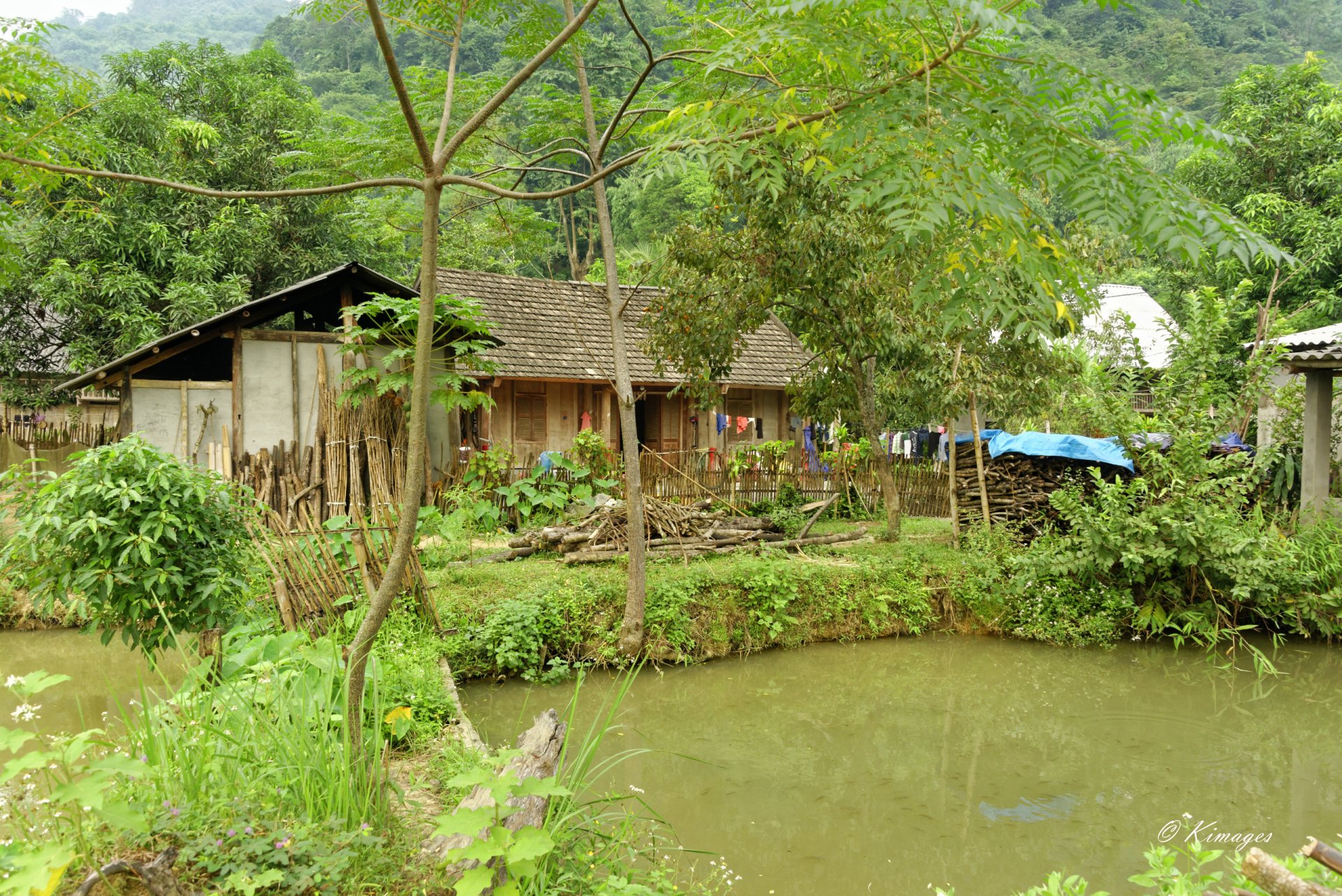 Vietnam