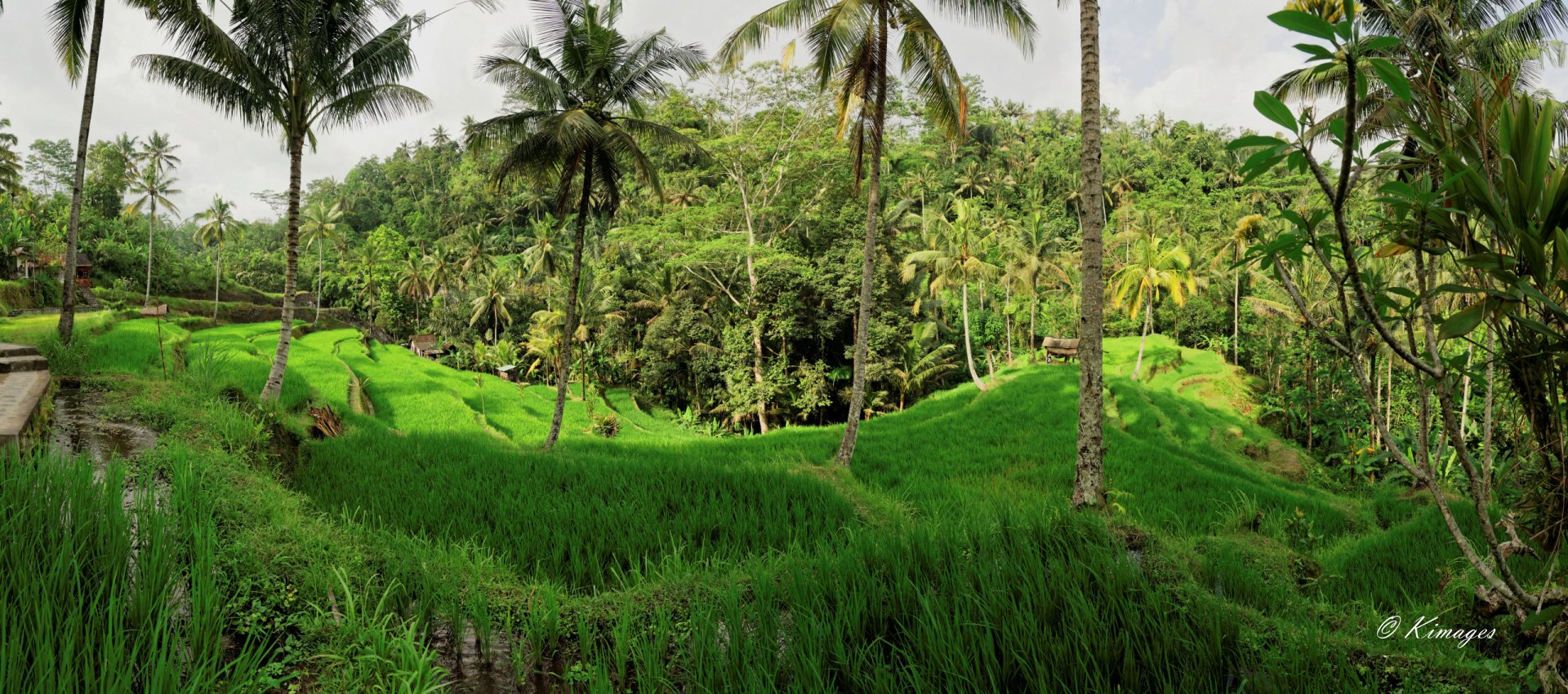 Bali