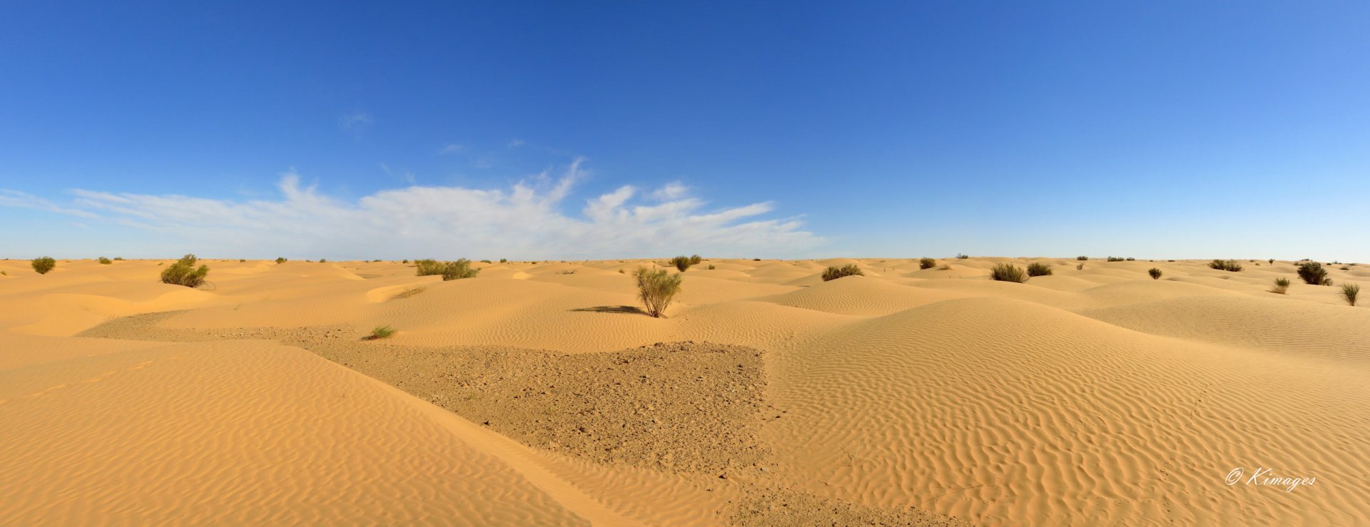 Tunisie: Ksar Ghilane