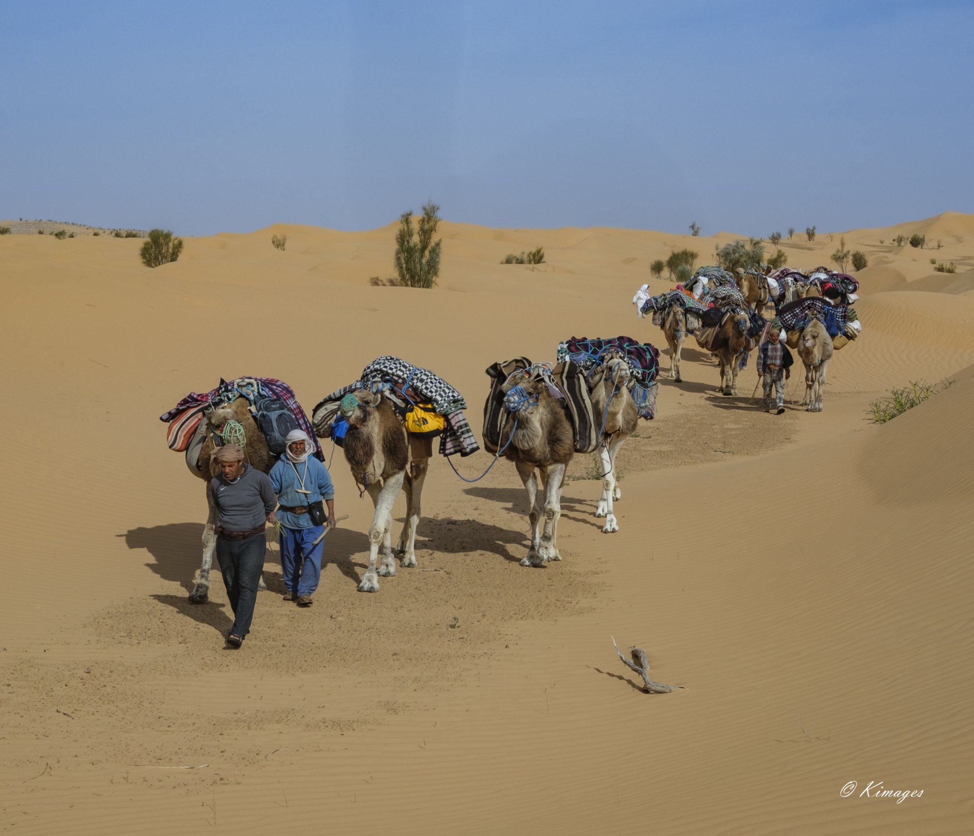 Tunisie: Tembaïne