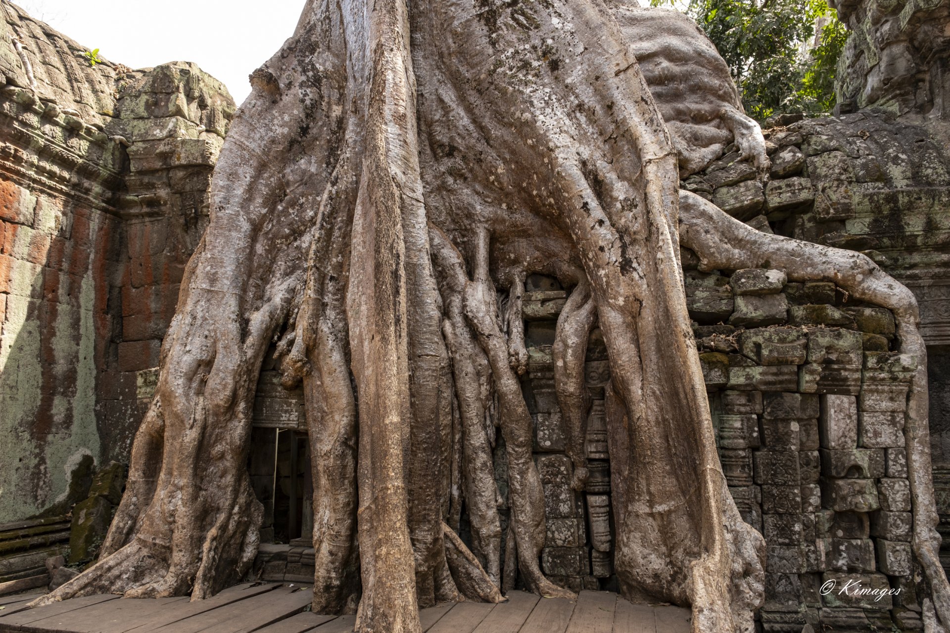 Temples d'Angkor