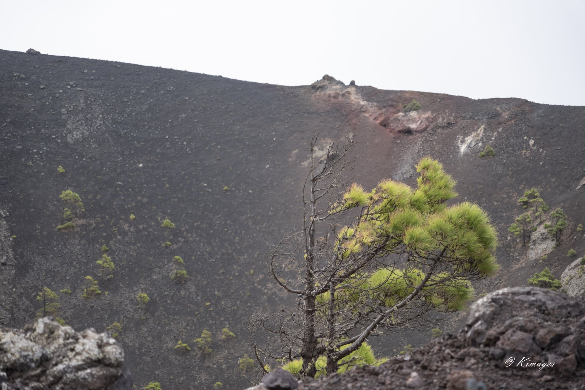 La Palma (île des canaries)