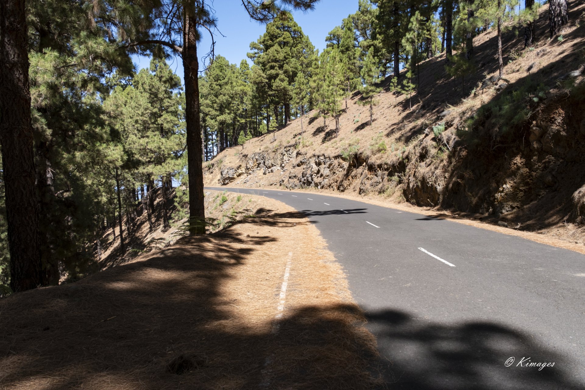 La Palma (île des canaries)