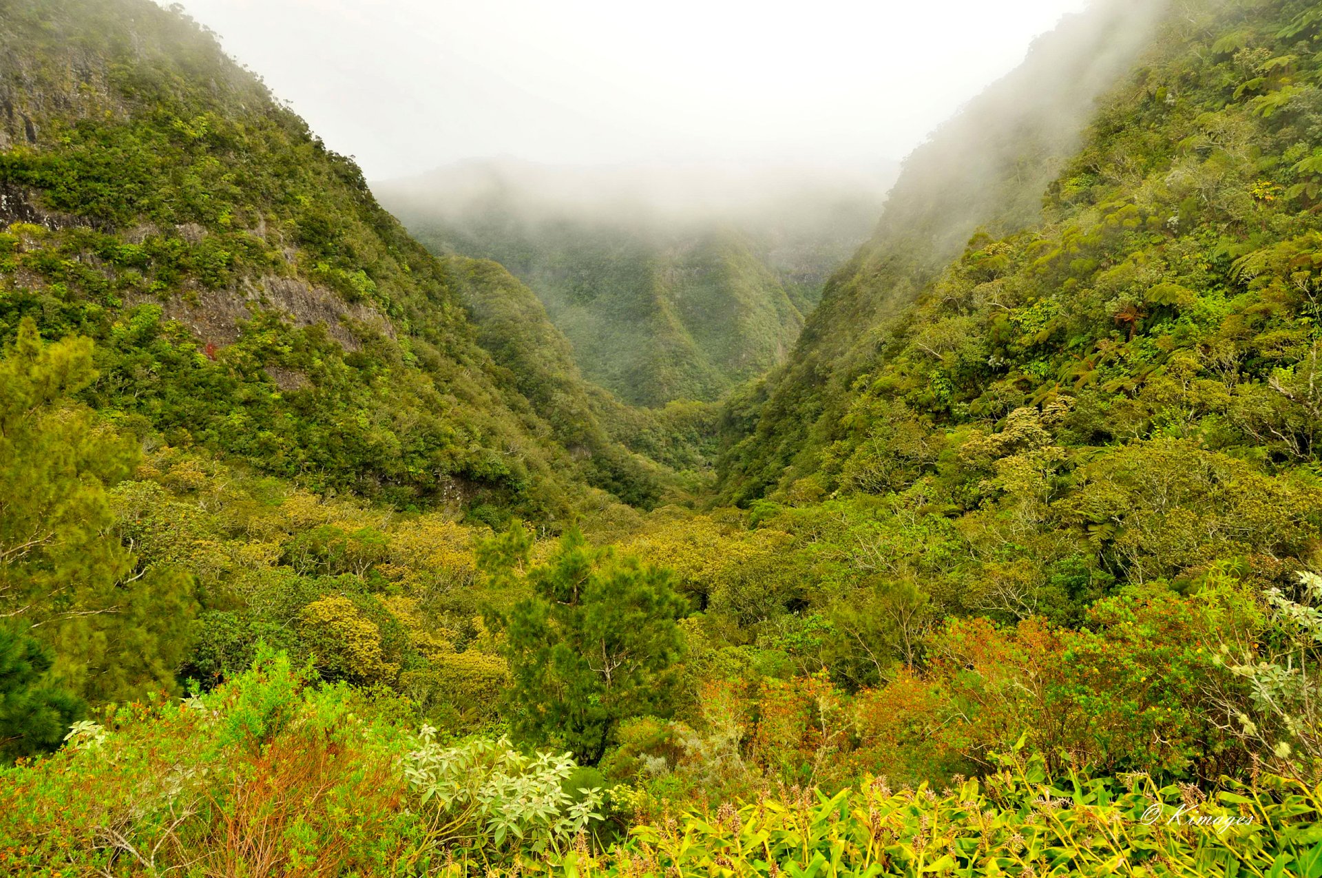 Ile de la Réunion