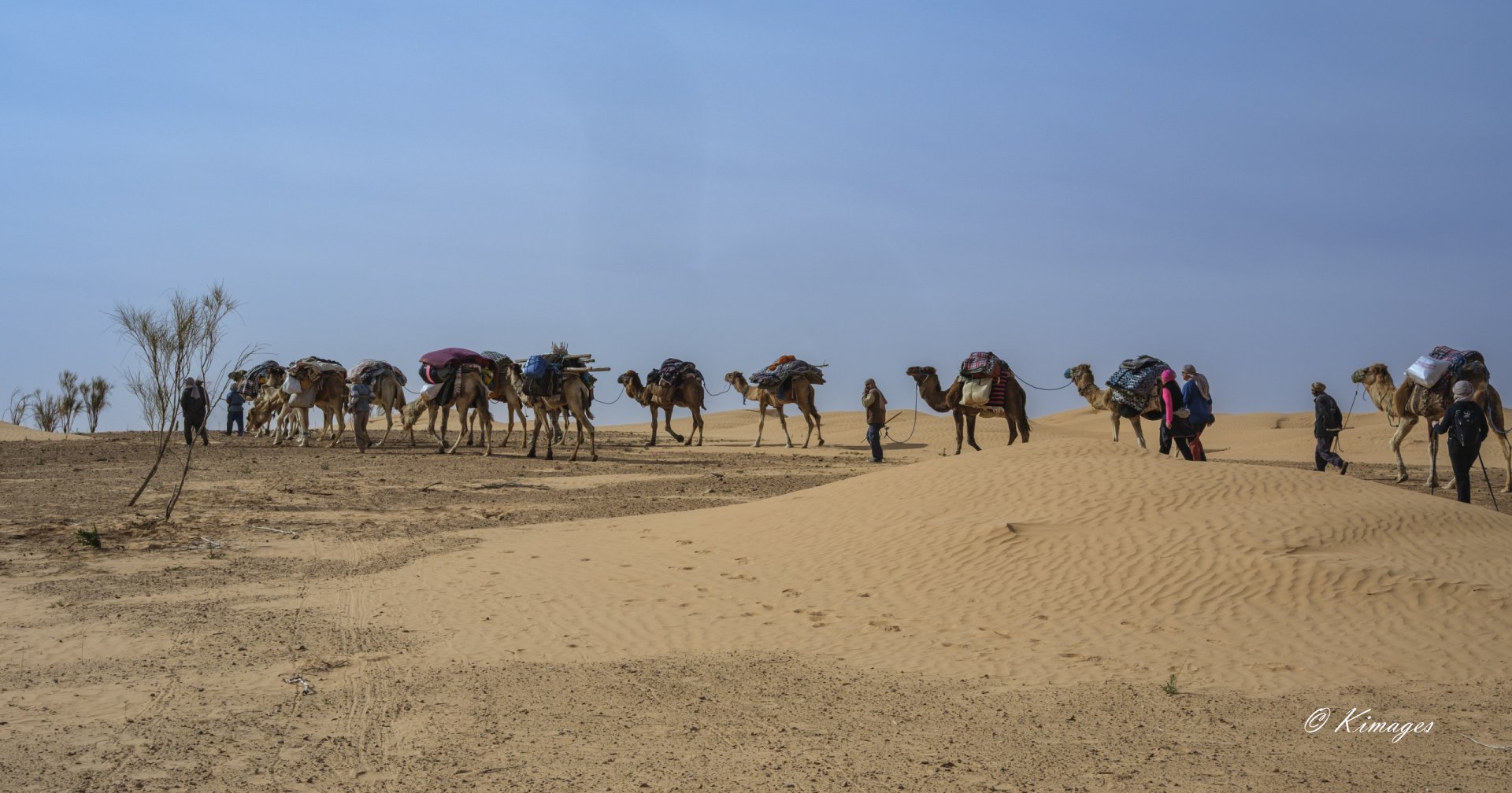 Tunisie: Tembaïne