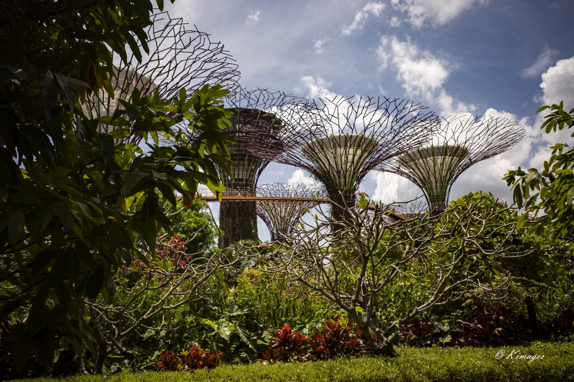 Singapour