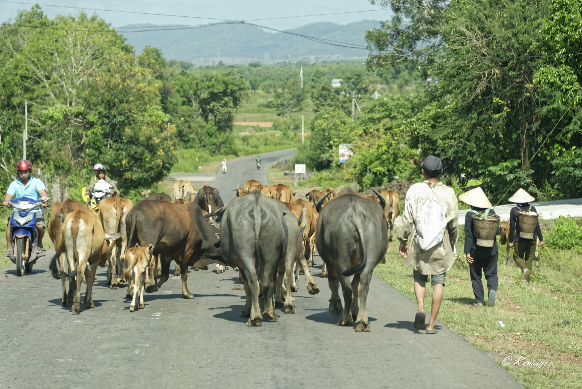 Vietnam