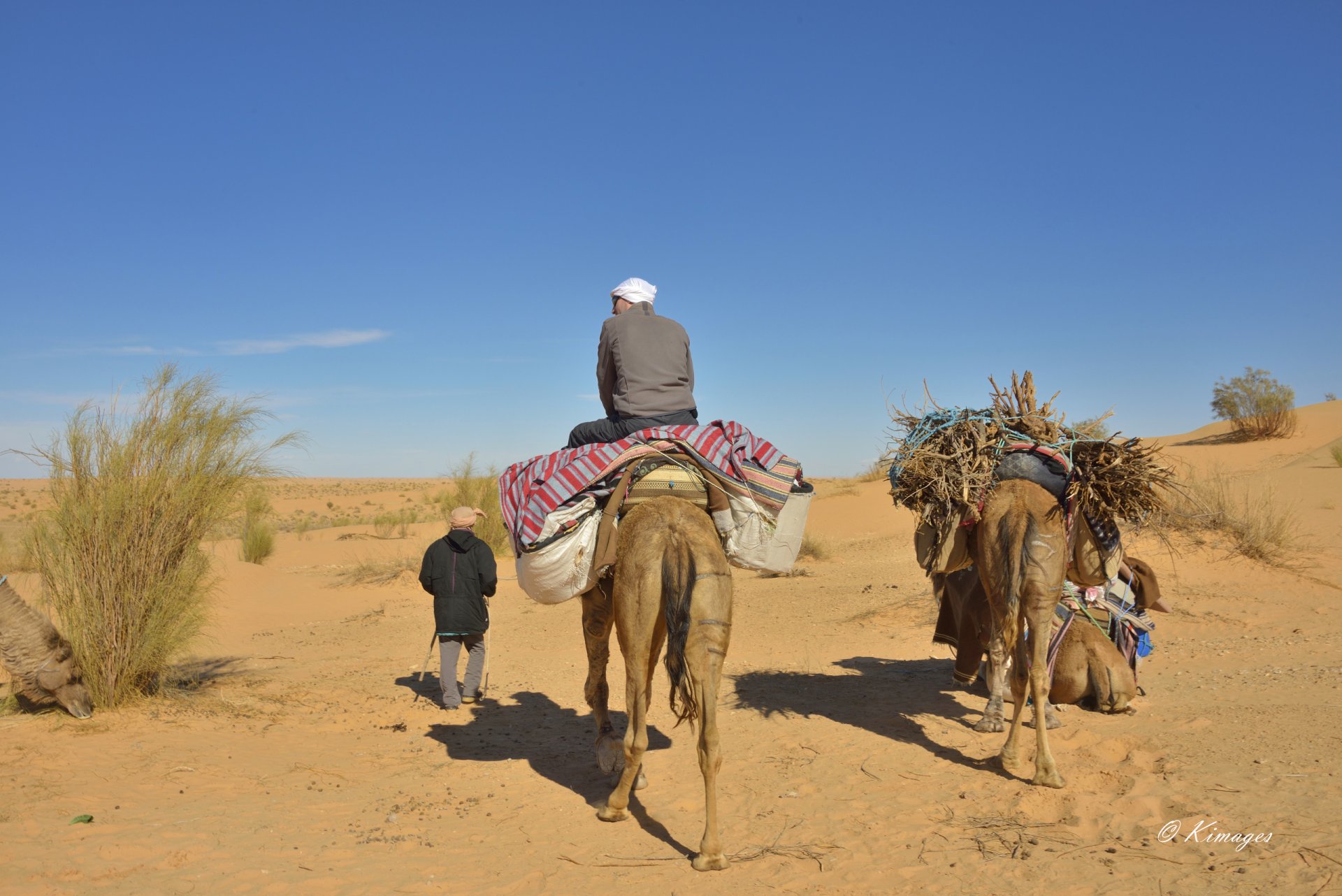 Tunisie: Ksar Ghilane