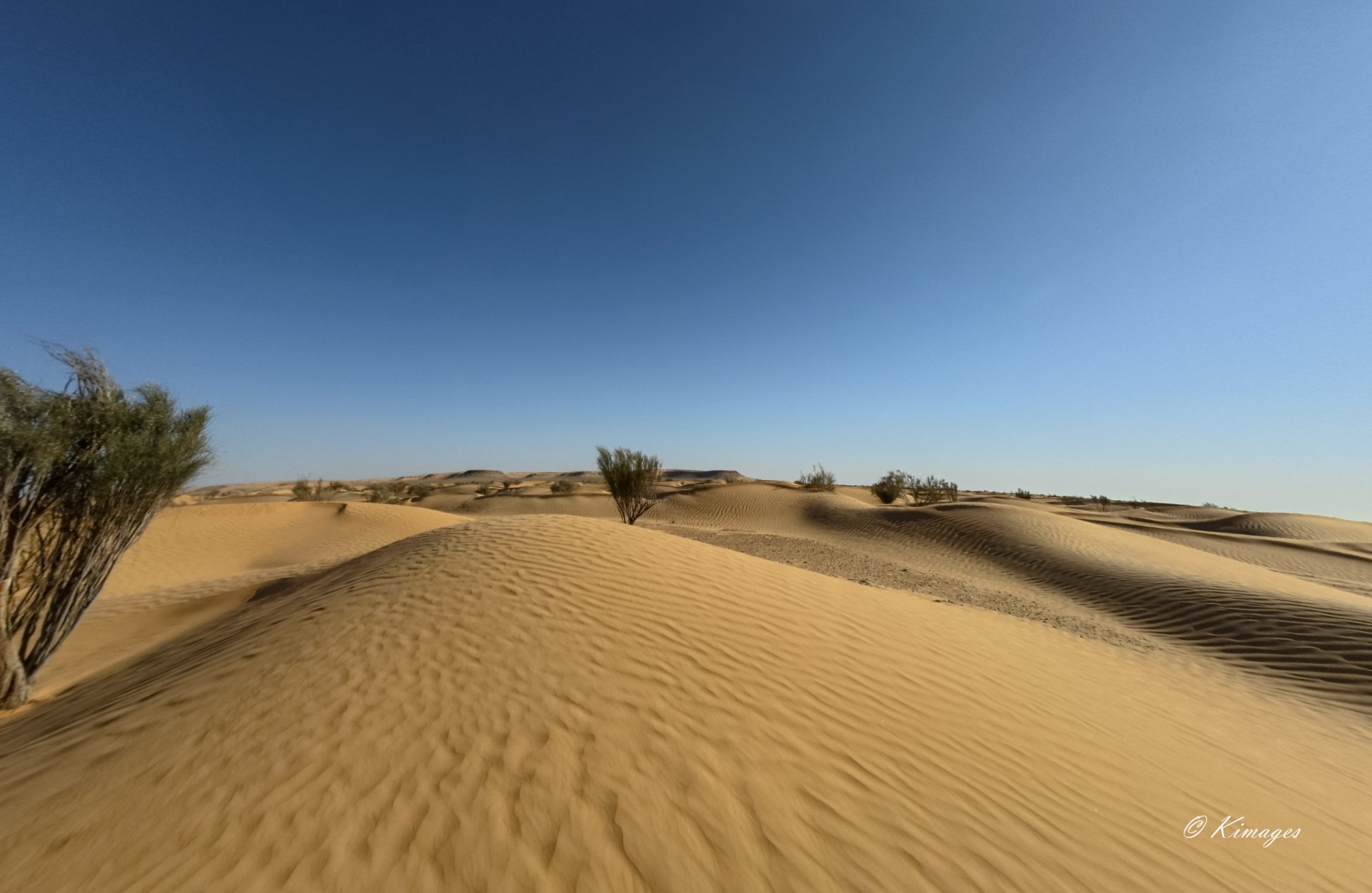 Tunisie: Tembaïne