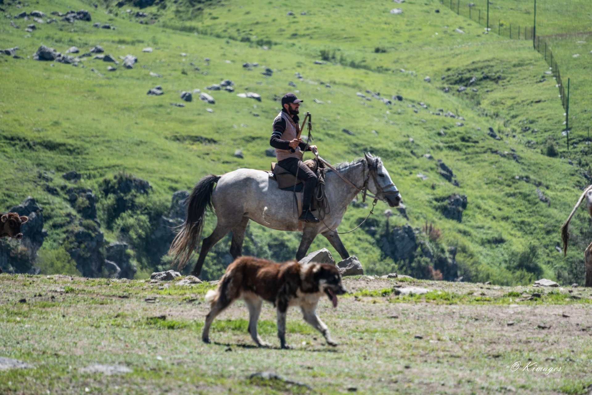 Vardzia