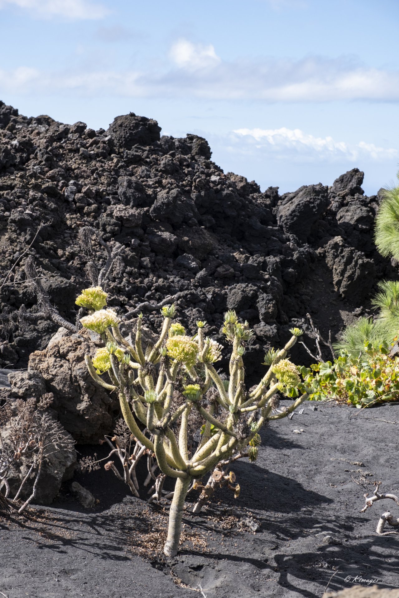 La Palma (île des canaries)
