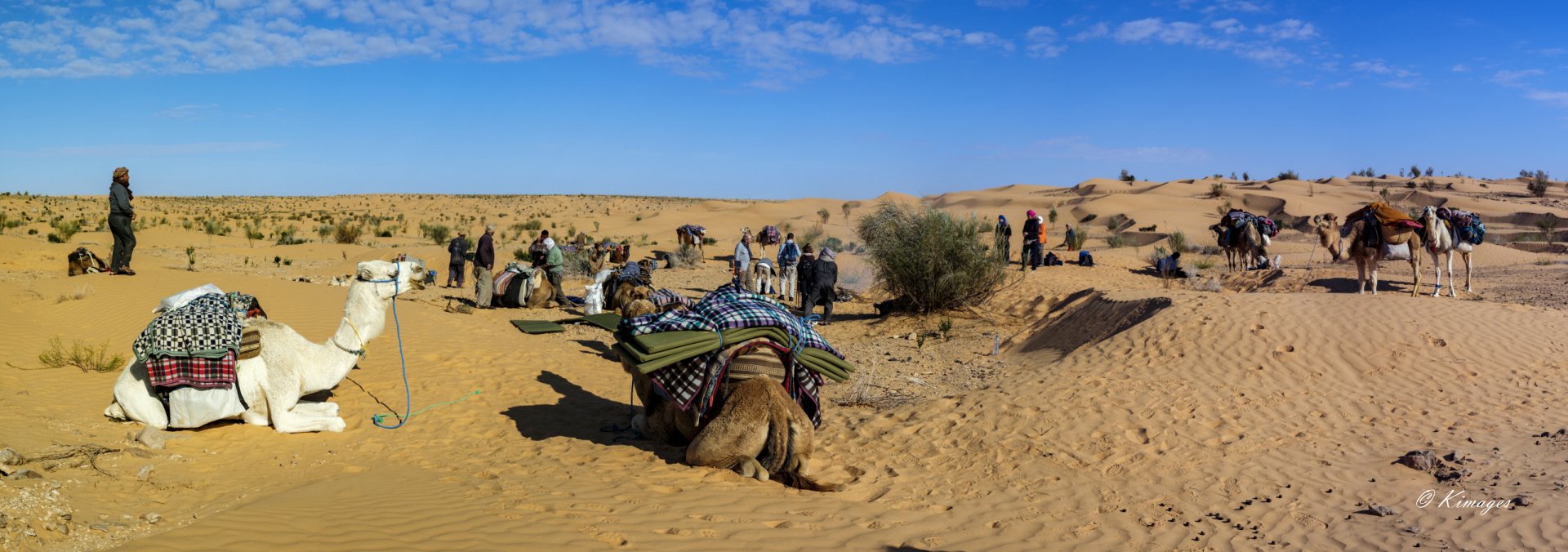 Tunisie: Tembaïne