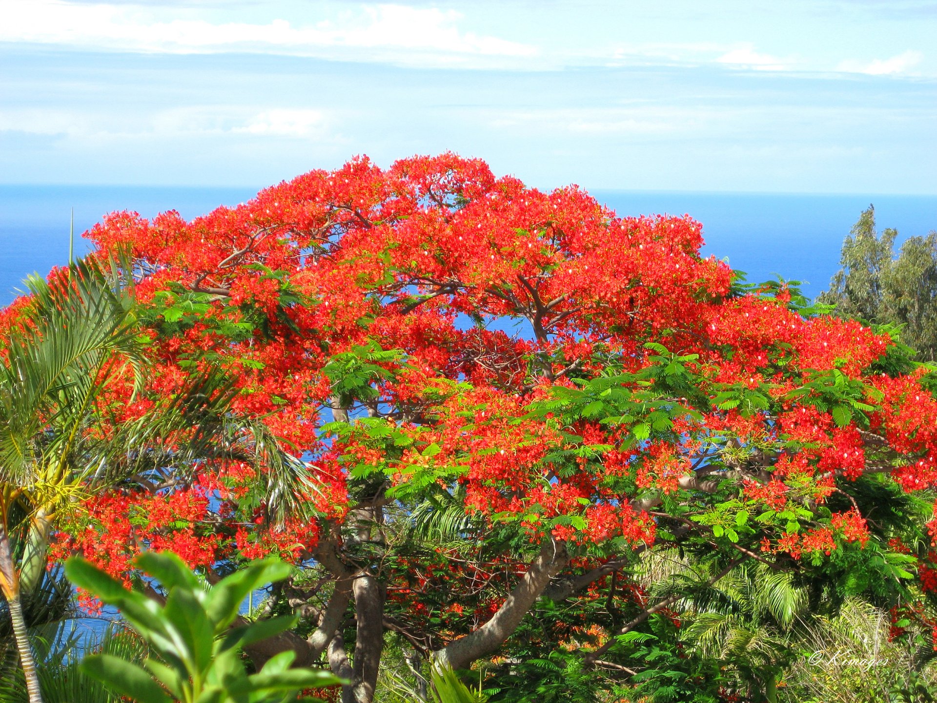Ile de la Réunion